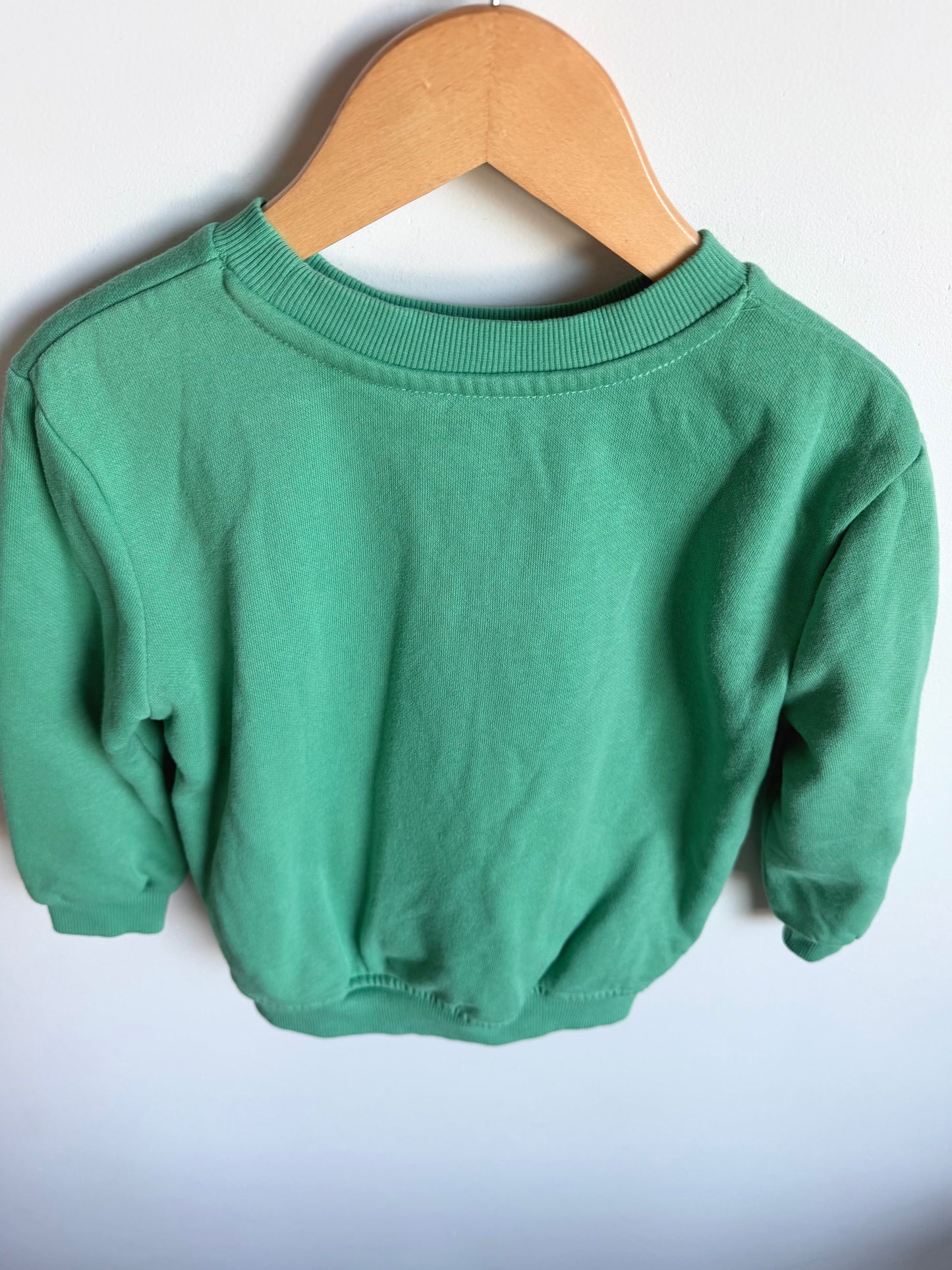 Explore & Discover Sweater / 3T