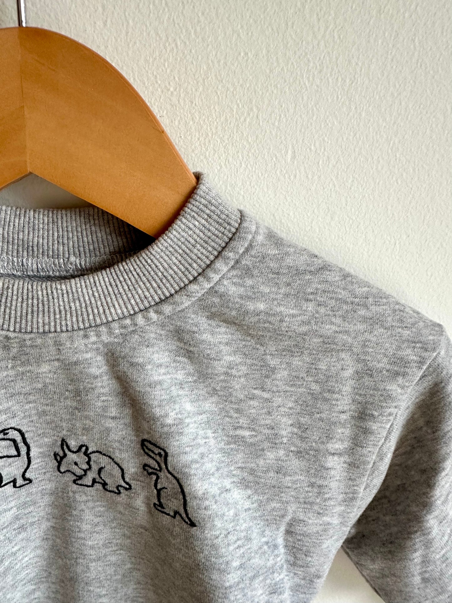 Grey Dino Embroidered Crewneck / 3-6m