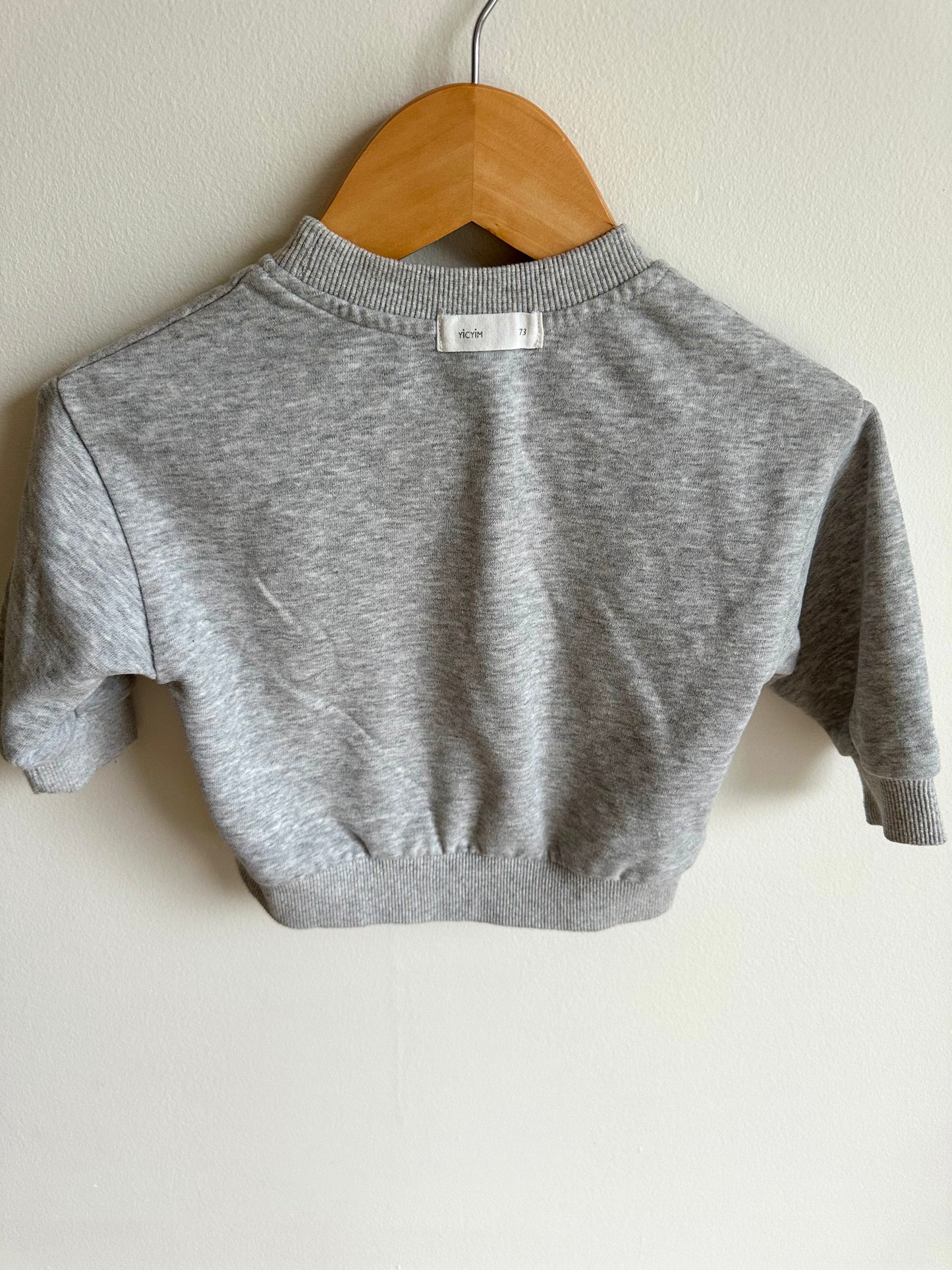 Grey Dino Embroidered Crewneck / 3-6m