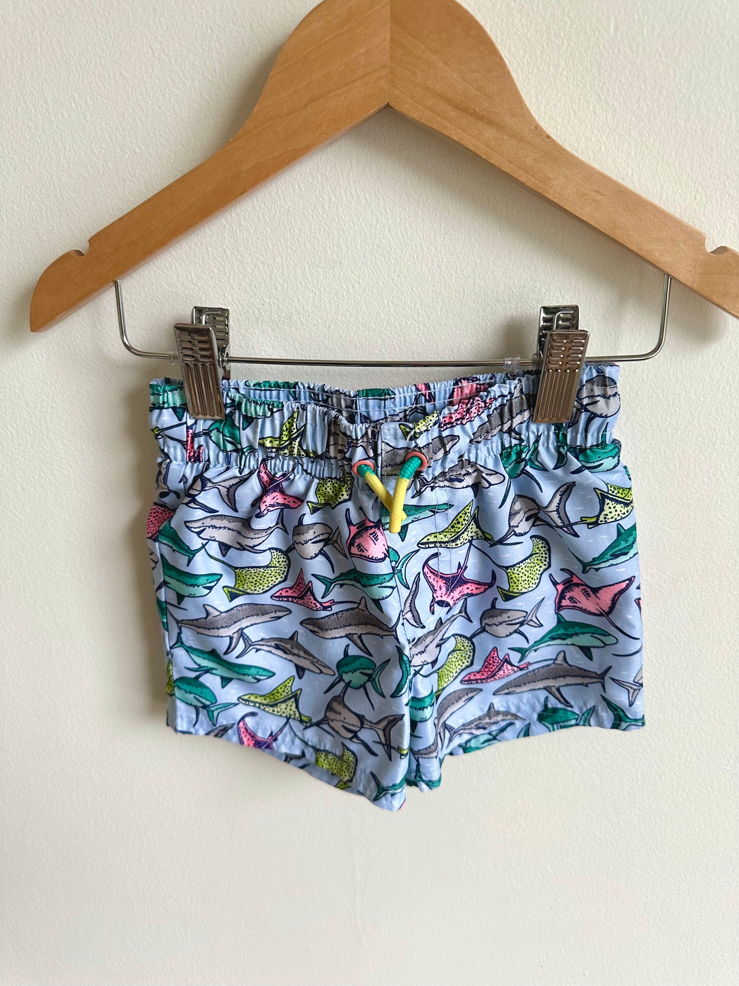 Ocean Swim Shorts / 12m