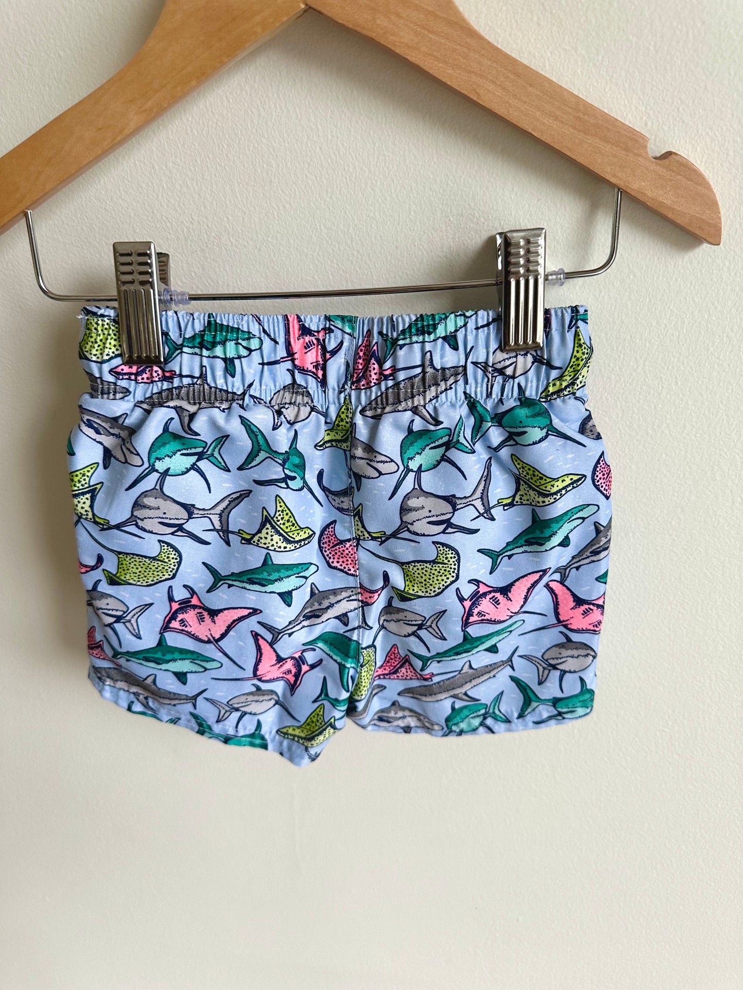 Ocean Swim Shorts / 12m