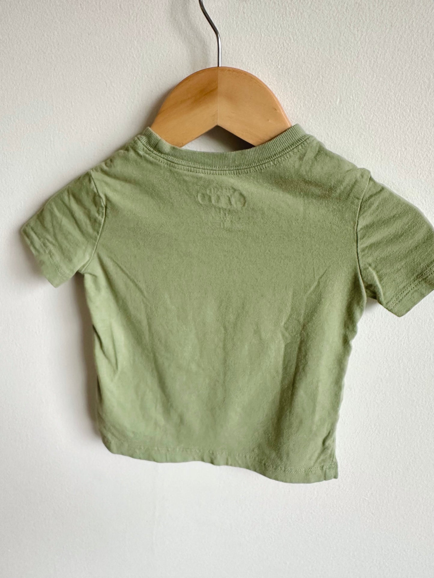 Bear Skateboarding Green Shirt / 12m