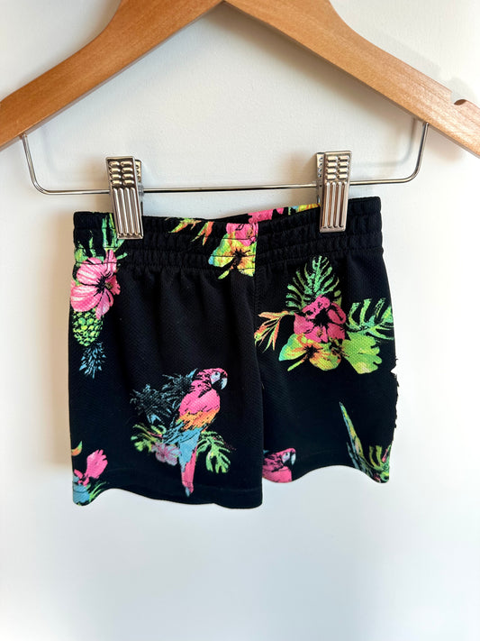 Hurley Parrot Shorts / 2T