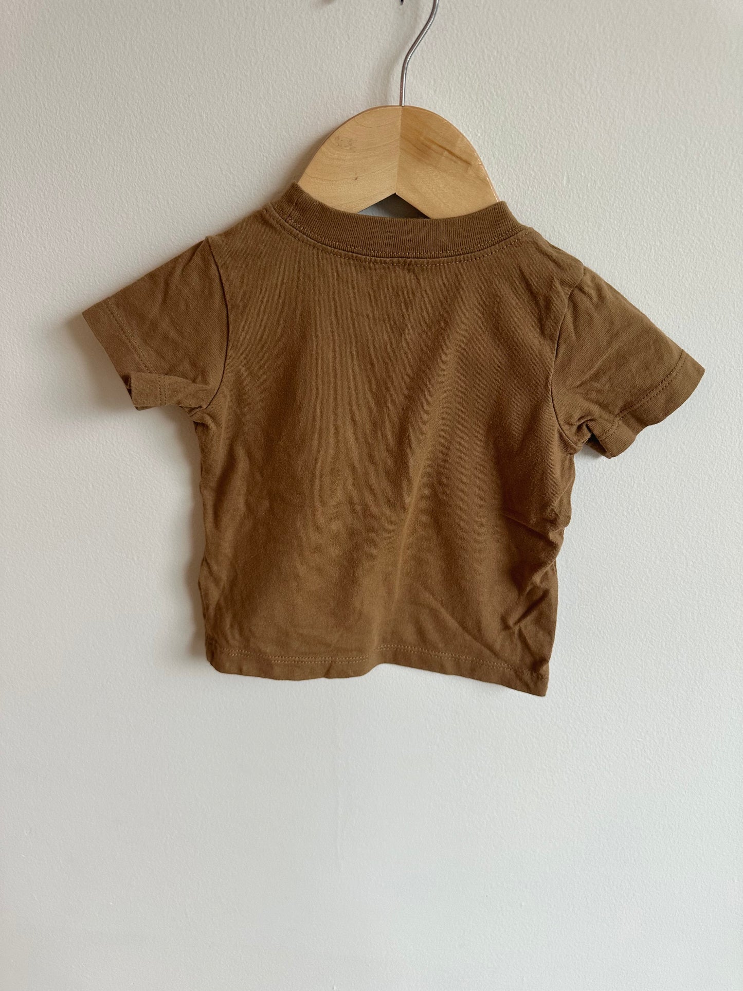 Brown Crew Neck Top / 9m