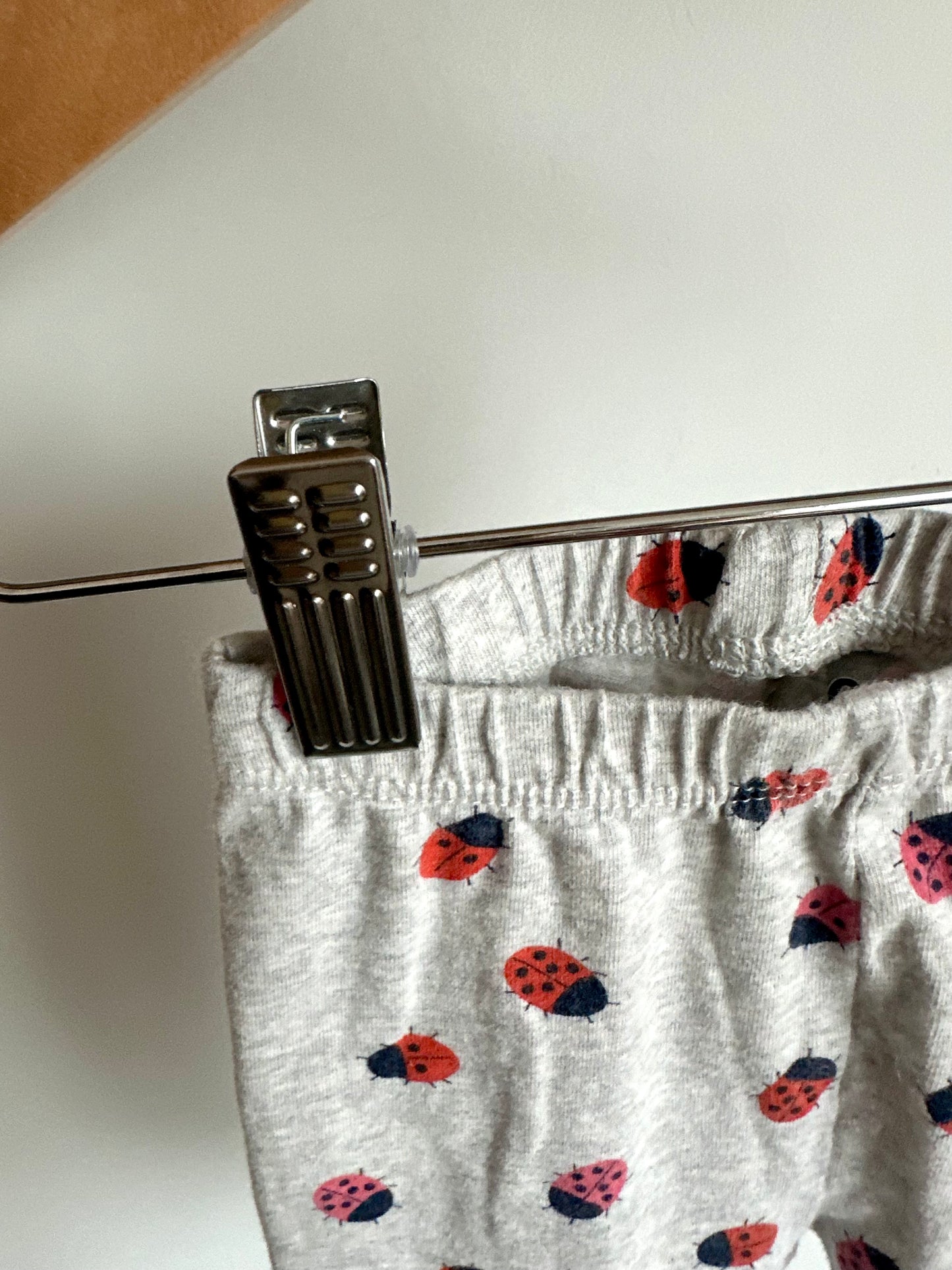 Ladybug Grey Pants / 18-24m