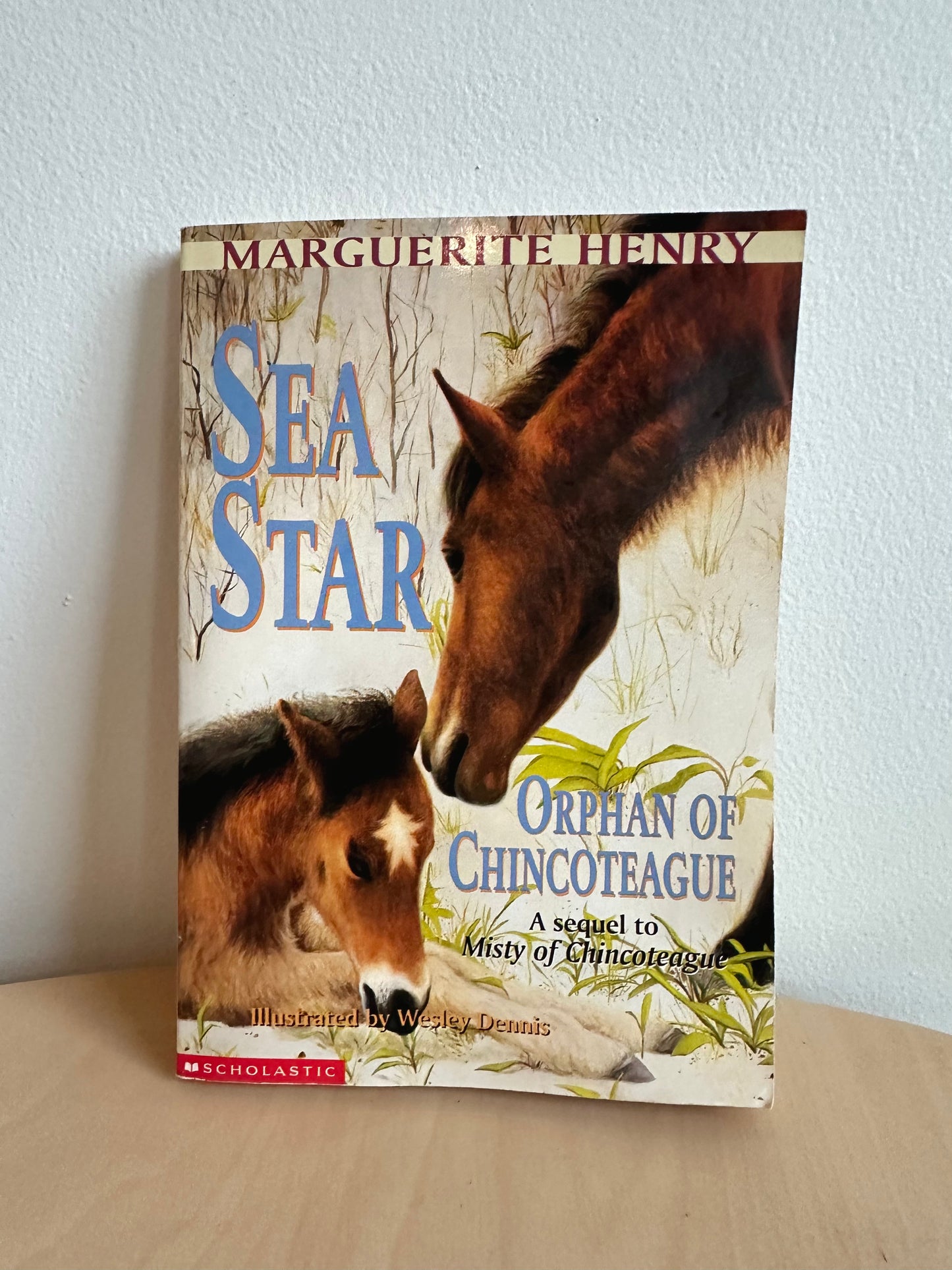 Sea Star: Orphan of Chincoteague Book / 8-12 years