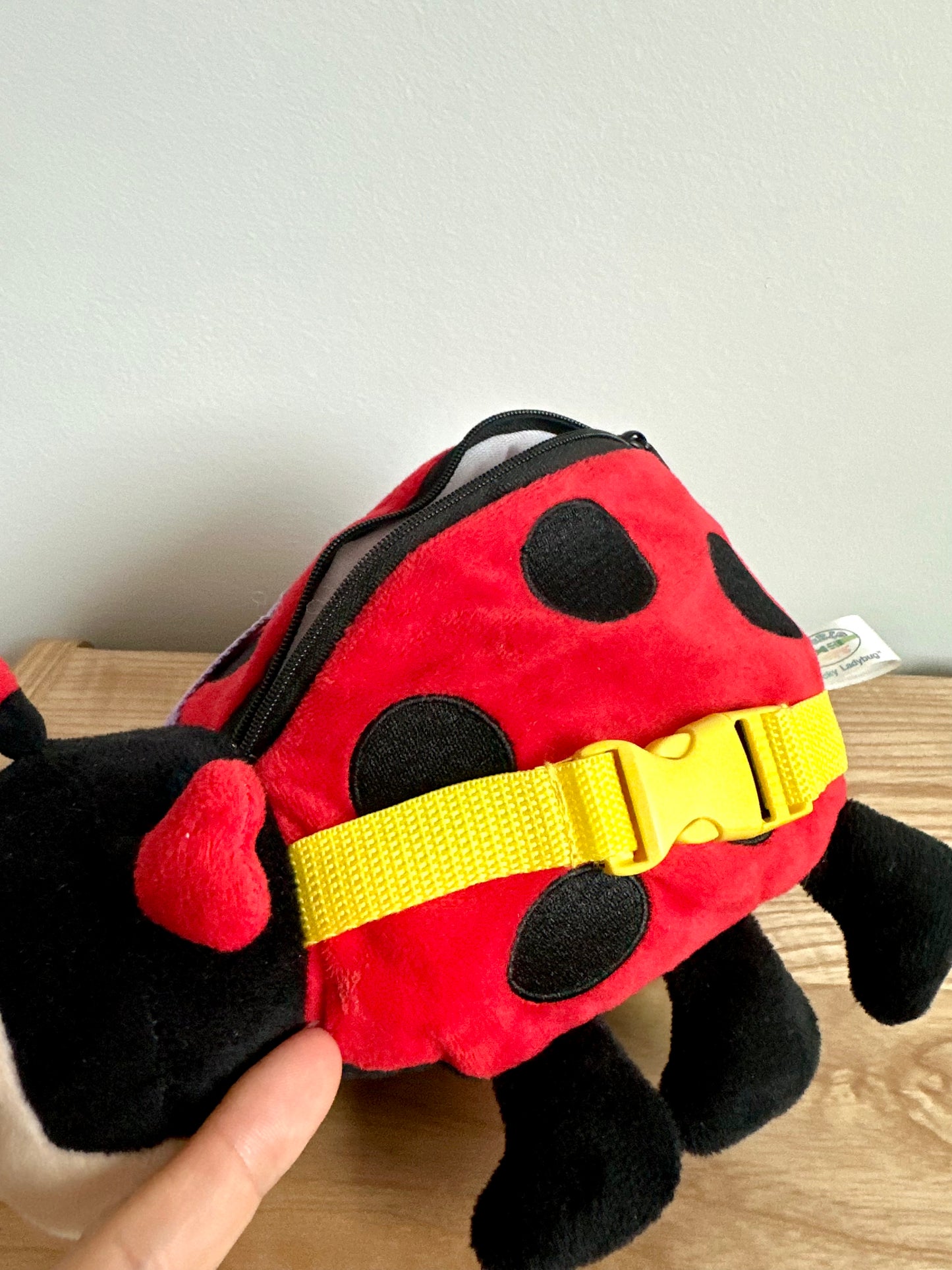 Ladybug Buckles Toy (No Shipping)