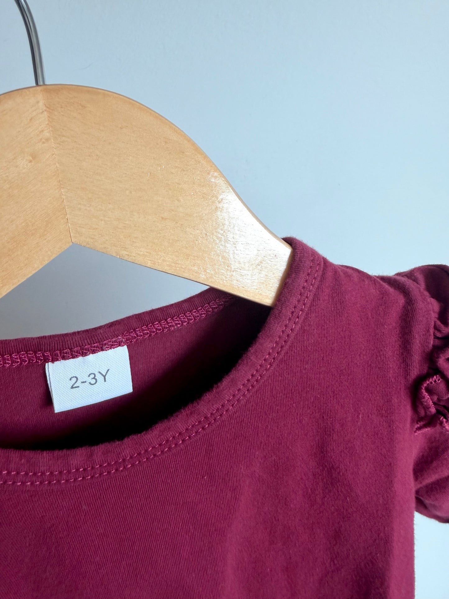 Burgundy Ruffle Sleeve Top / 2T