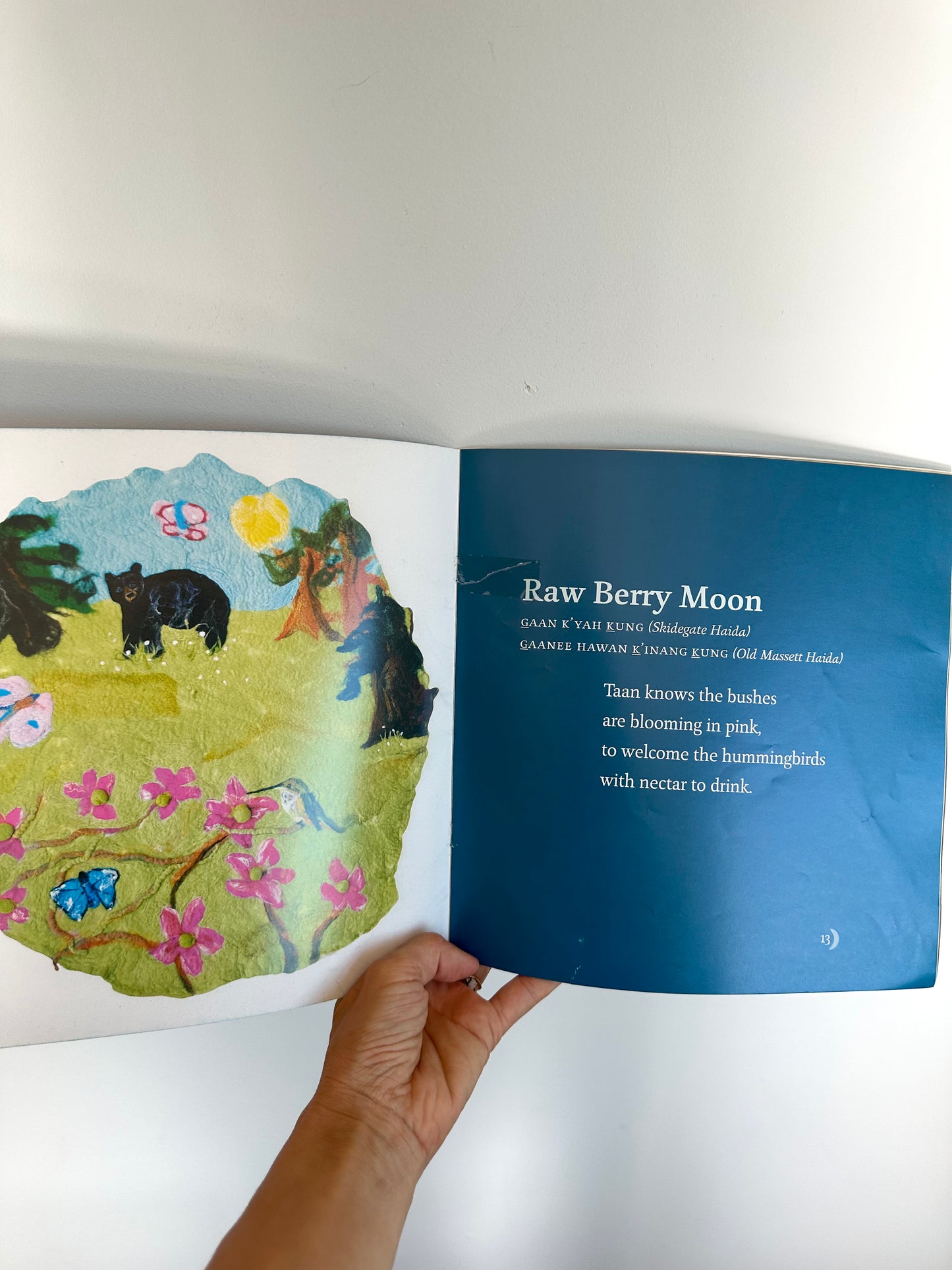 Taan's Moons - A Haida Moon Story Softcover / 5-7 years