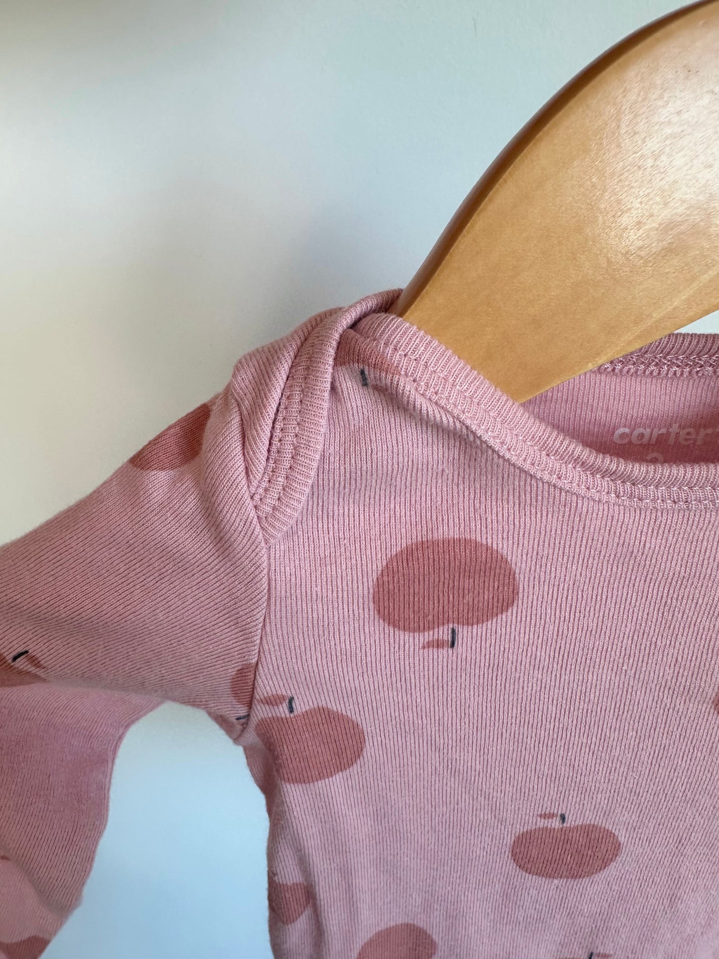 Set of 2 Long Sleeve Bodysuits- Apples + Birds / 3m