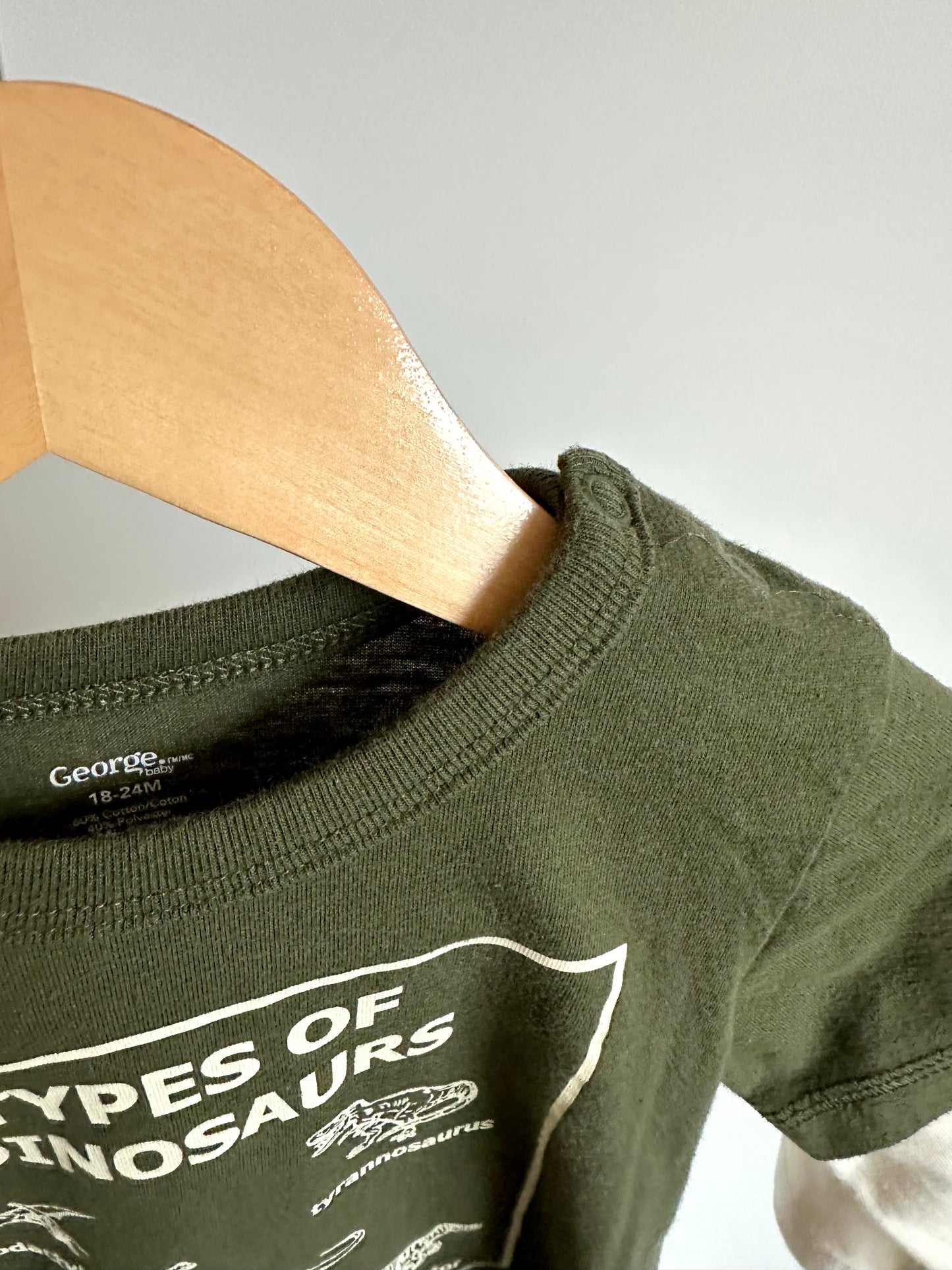 Types of Dinosaurs Long Sleeve / 18-24m