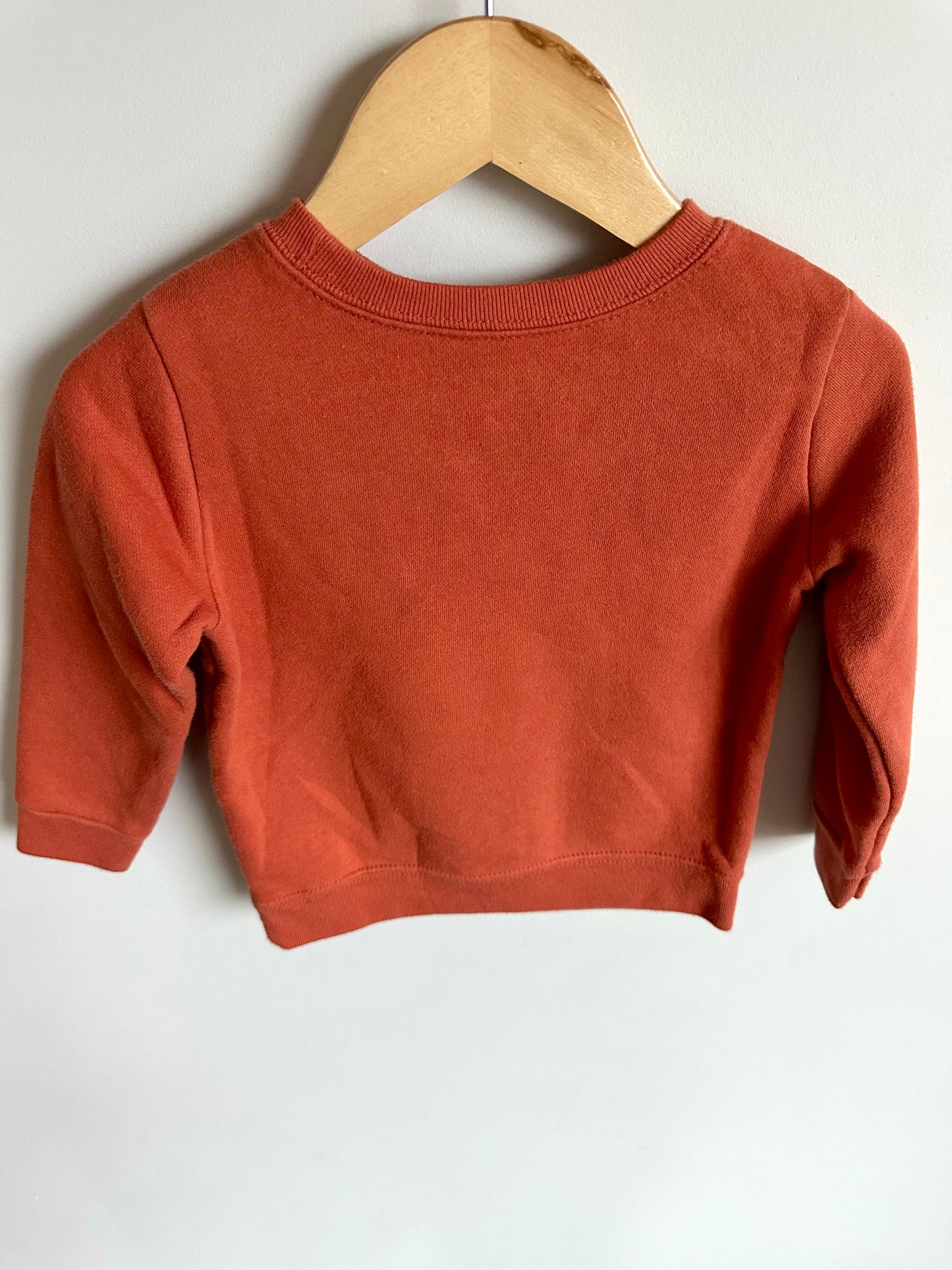 Orange Camping Kid Crewneck / 24m