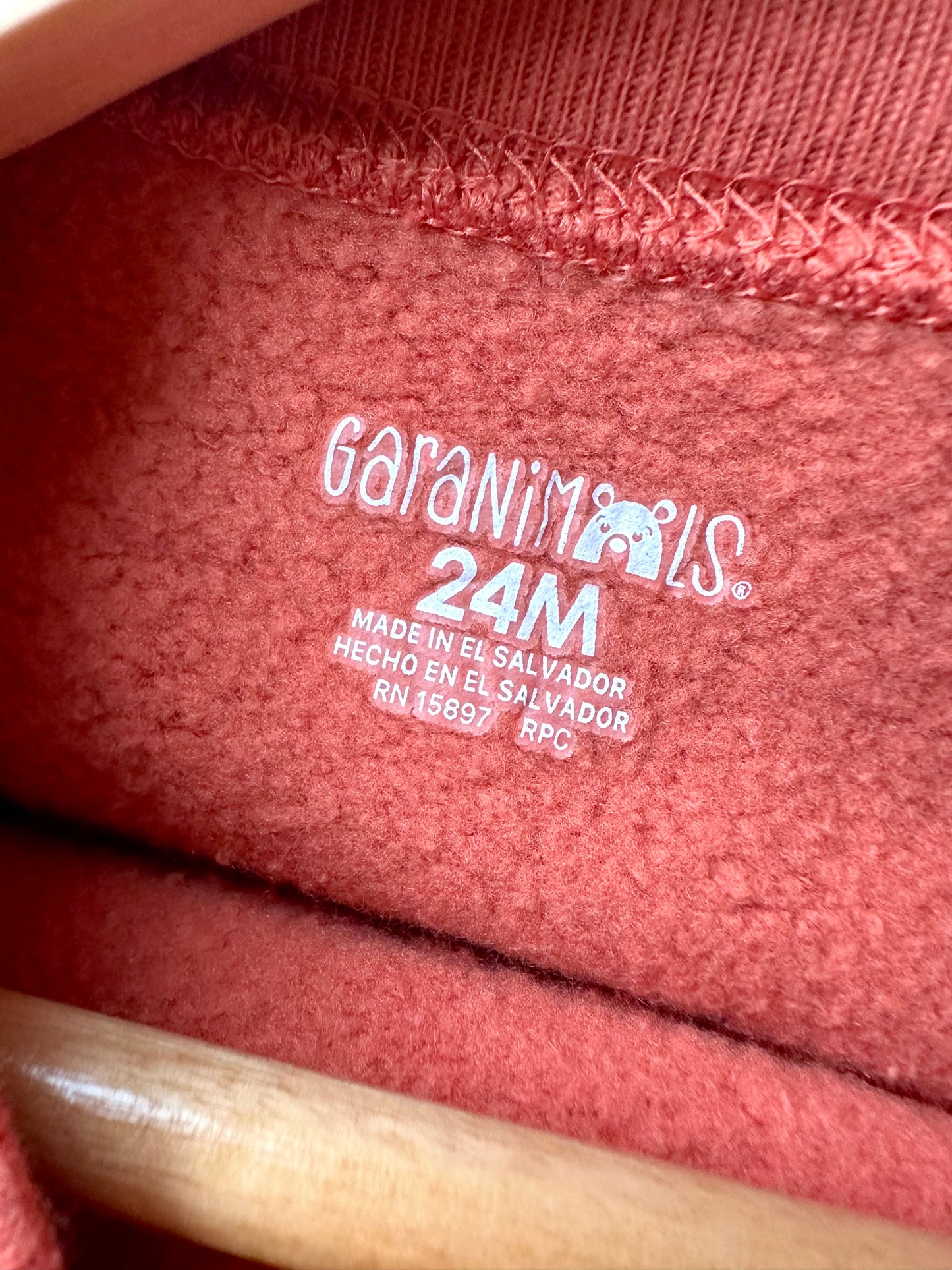 Orange Camping Kid Crewneck / 24m