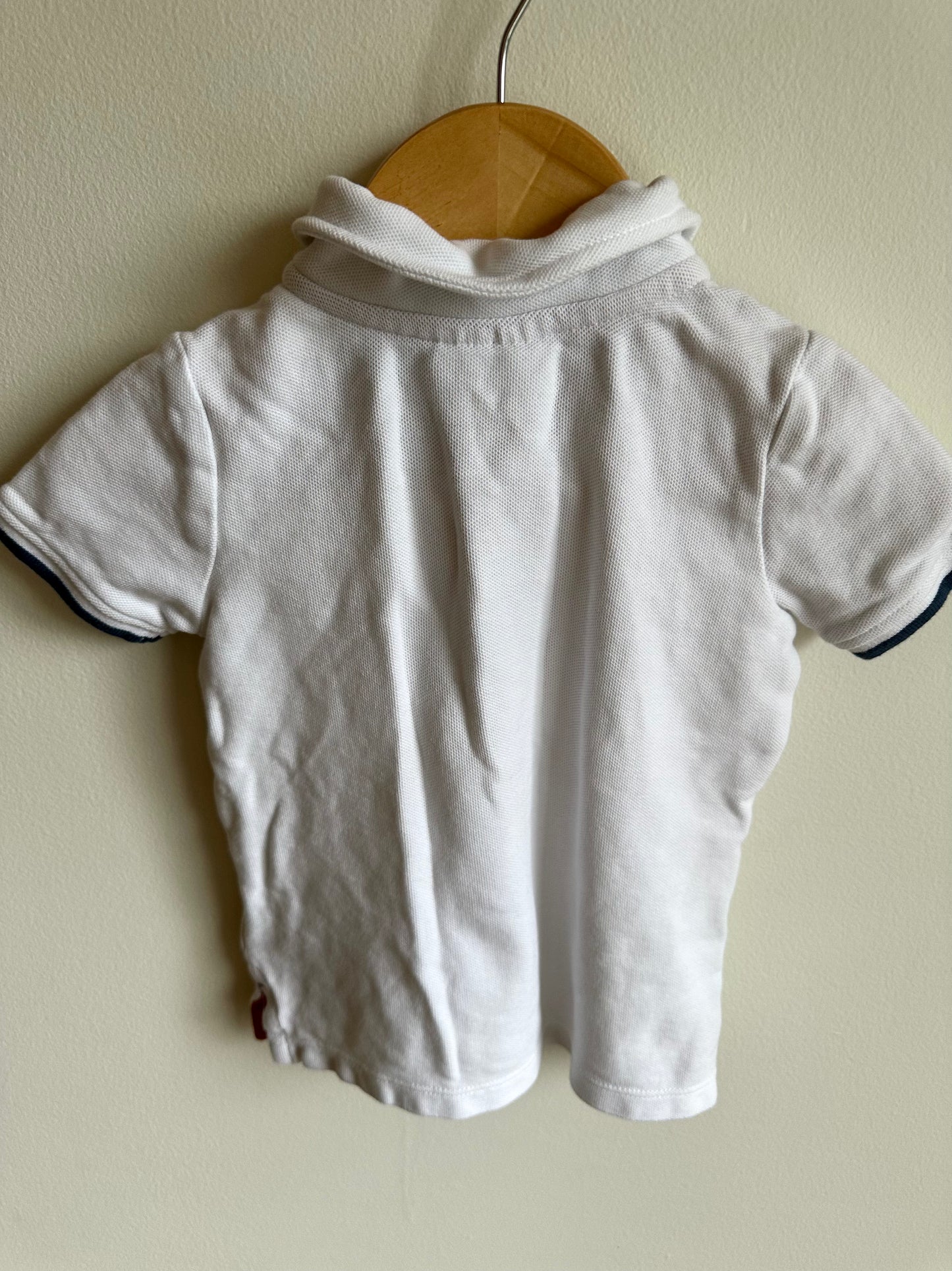 Collared T-shirt + Anchor Shorts Set / 18-24m