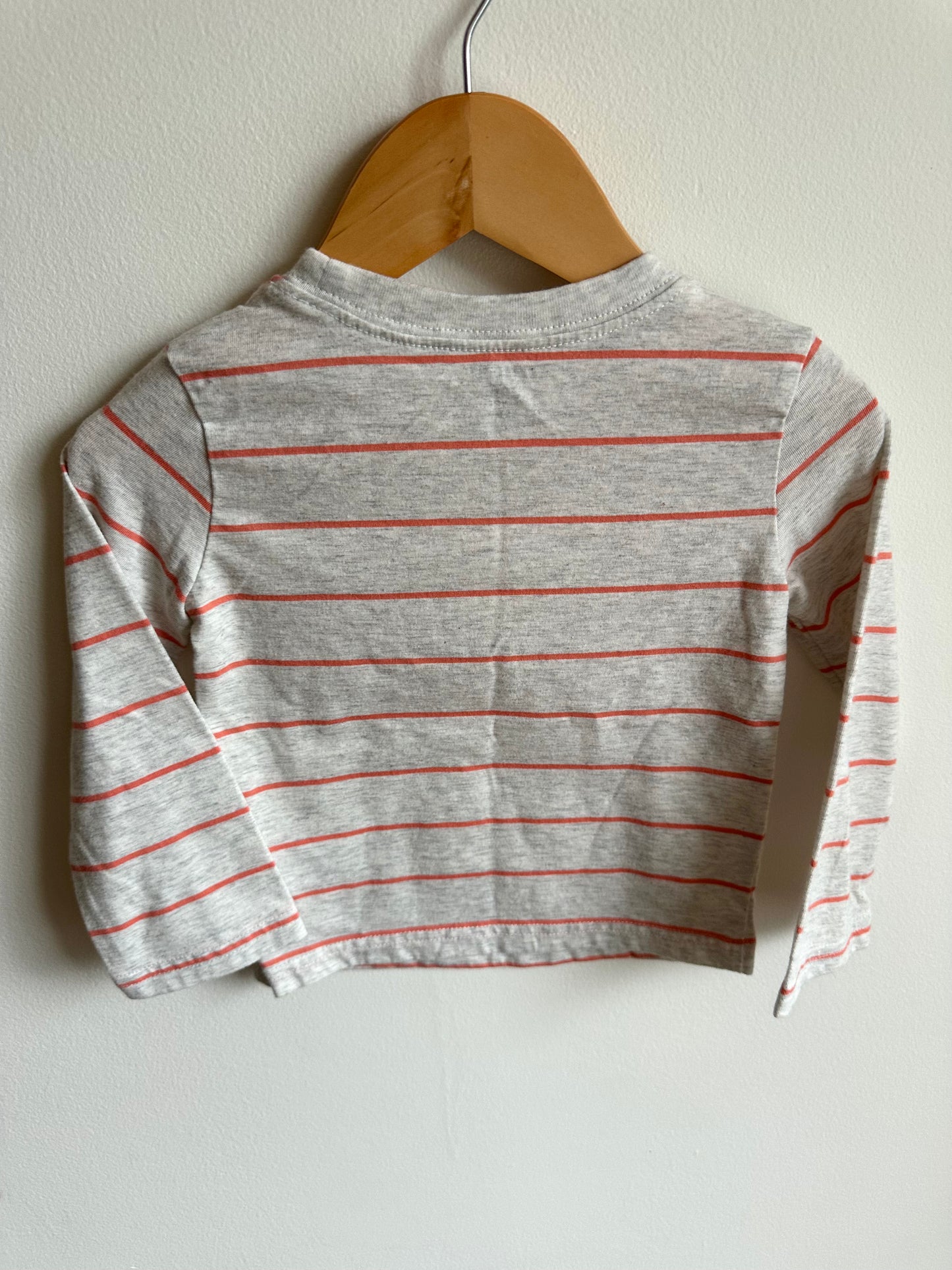 Be Wild Striped Long Sleeve / 24m