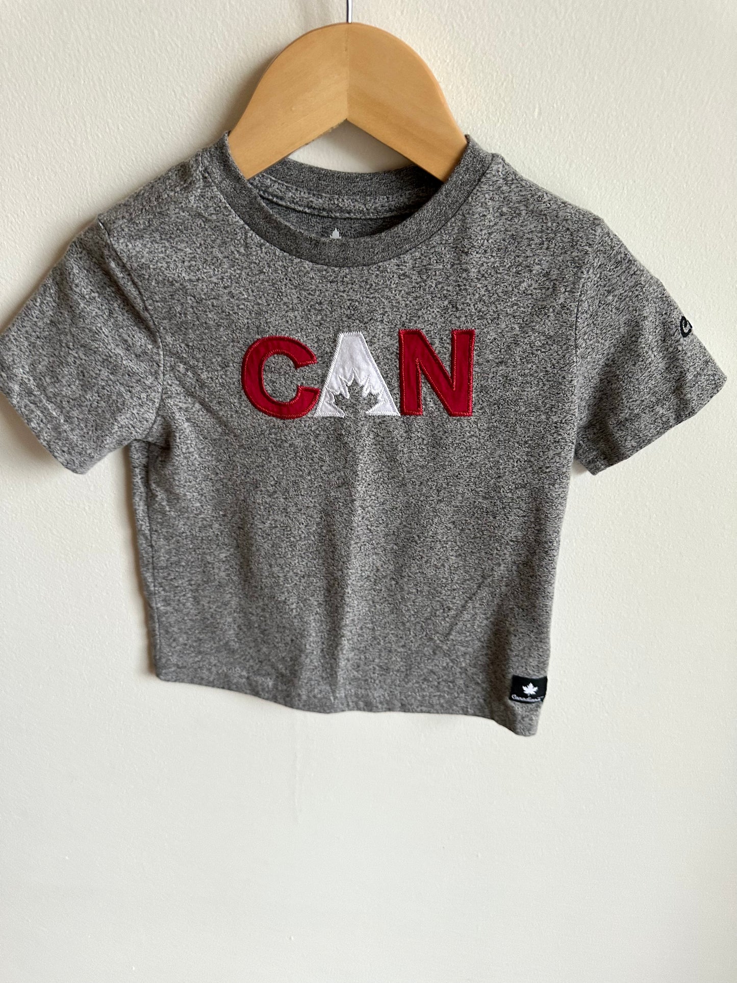 Grey Canada T-shirt / 2T