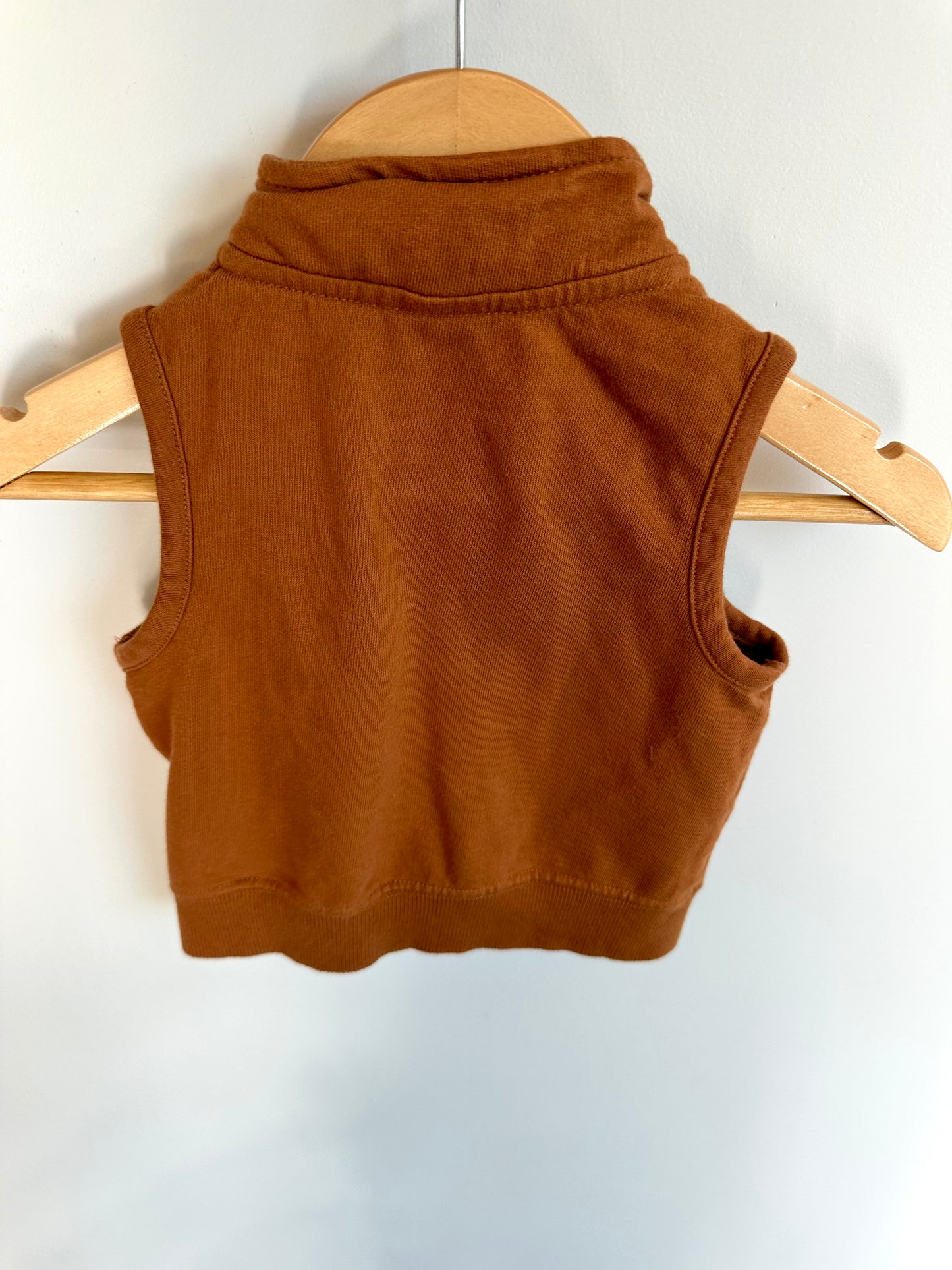 Lion Zippered Vest / 6m