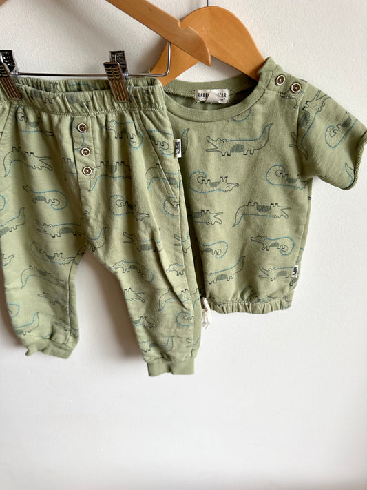 Alligator Organic T-Shirt + Pants Set / 18m