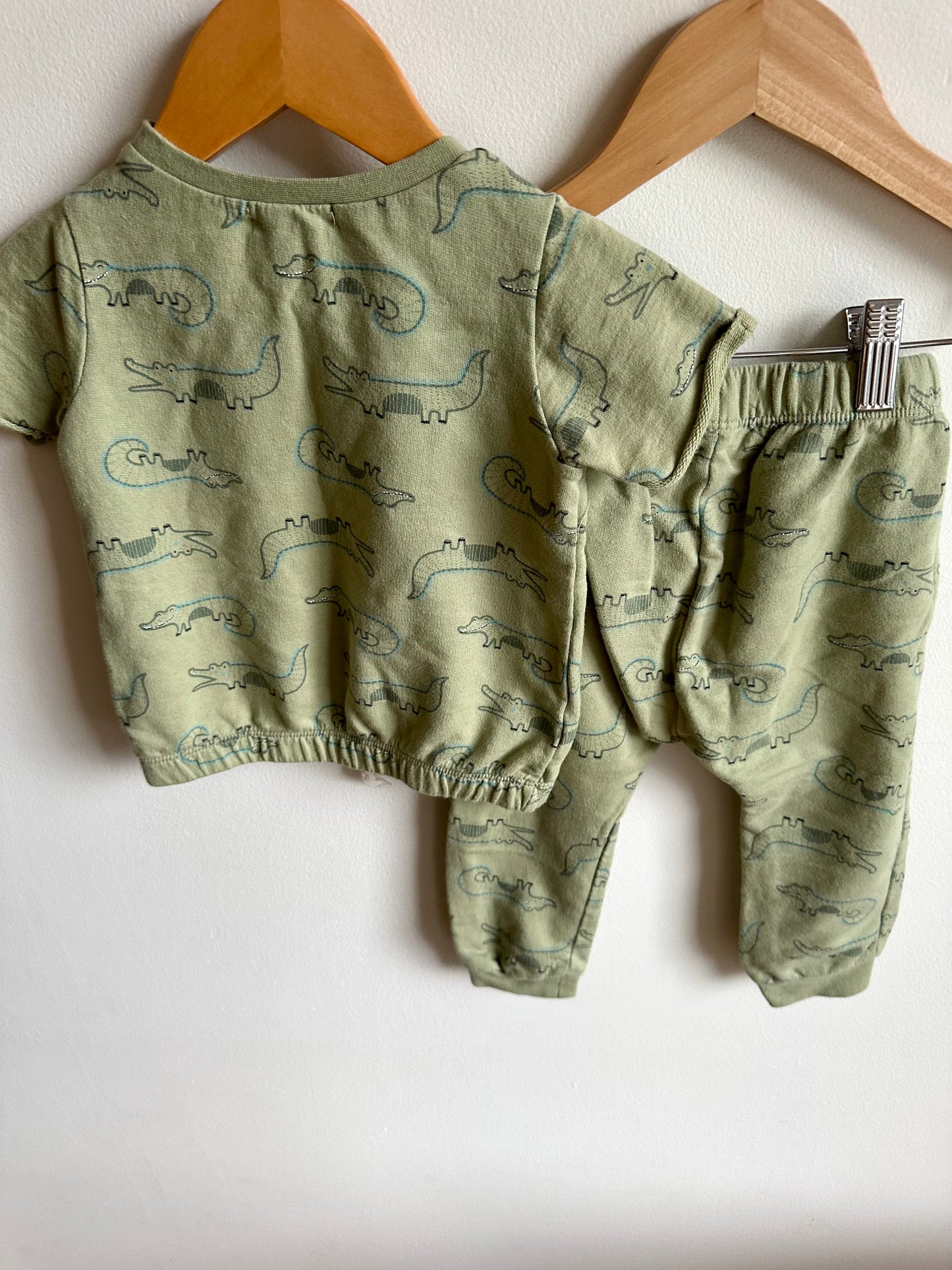 Alligator Organic T-Shirt + Pants Set / 18m