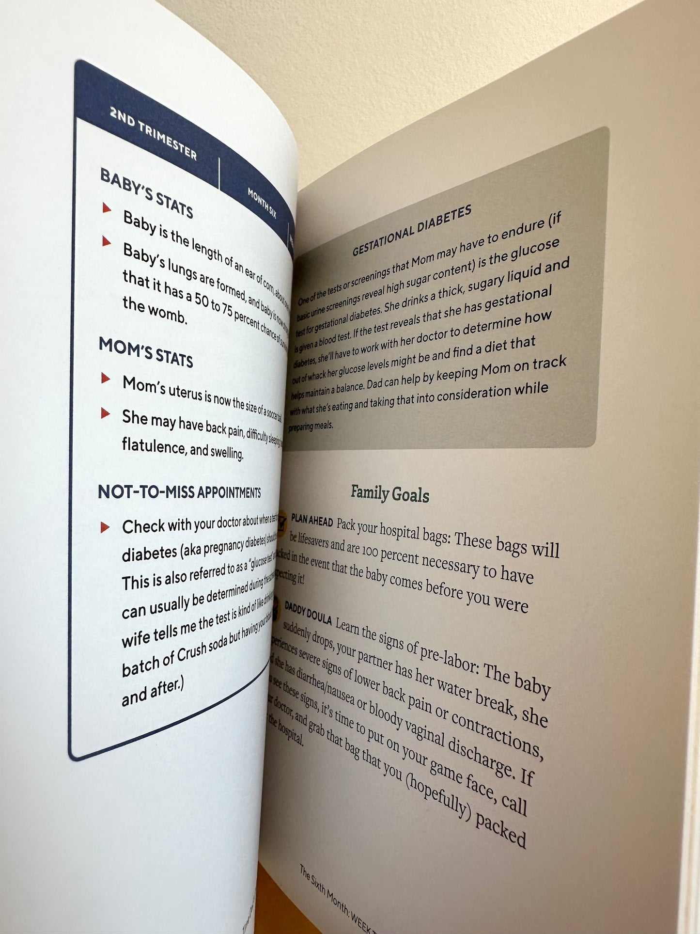 We're Pregnant Dad Book
