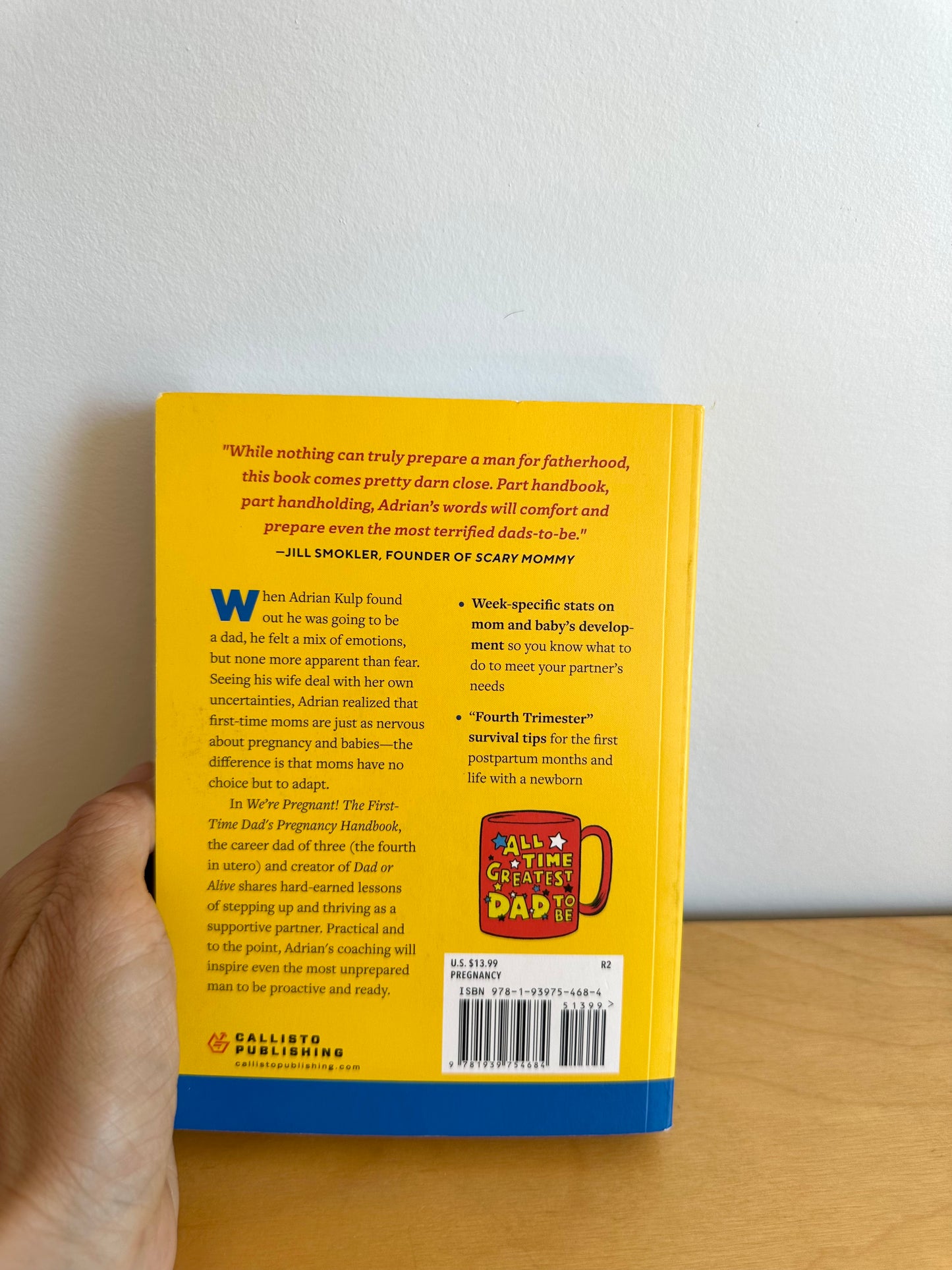 We're Pregnant Dad Book