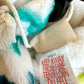 Hatley Dino Slippers (With Tags) / Size 5-7 Big Kids