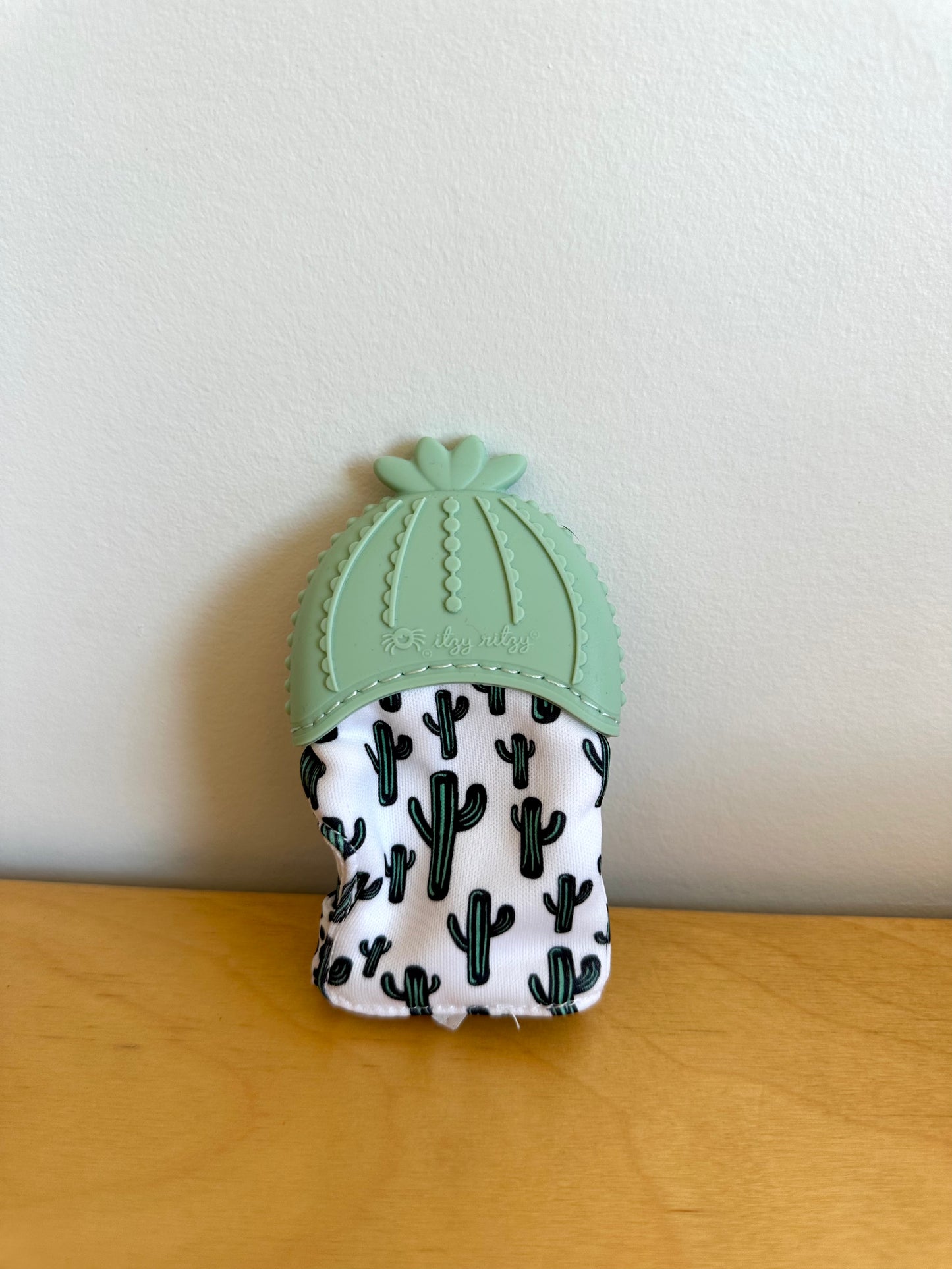 Cactus Teether Toy