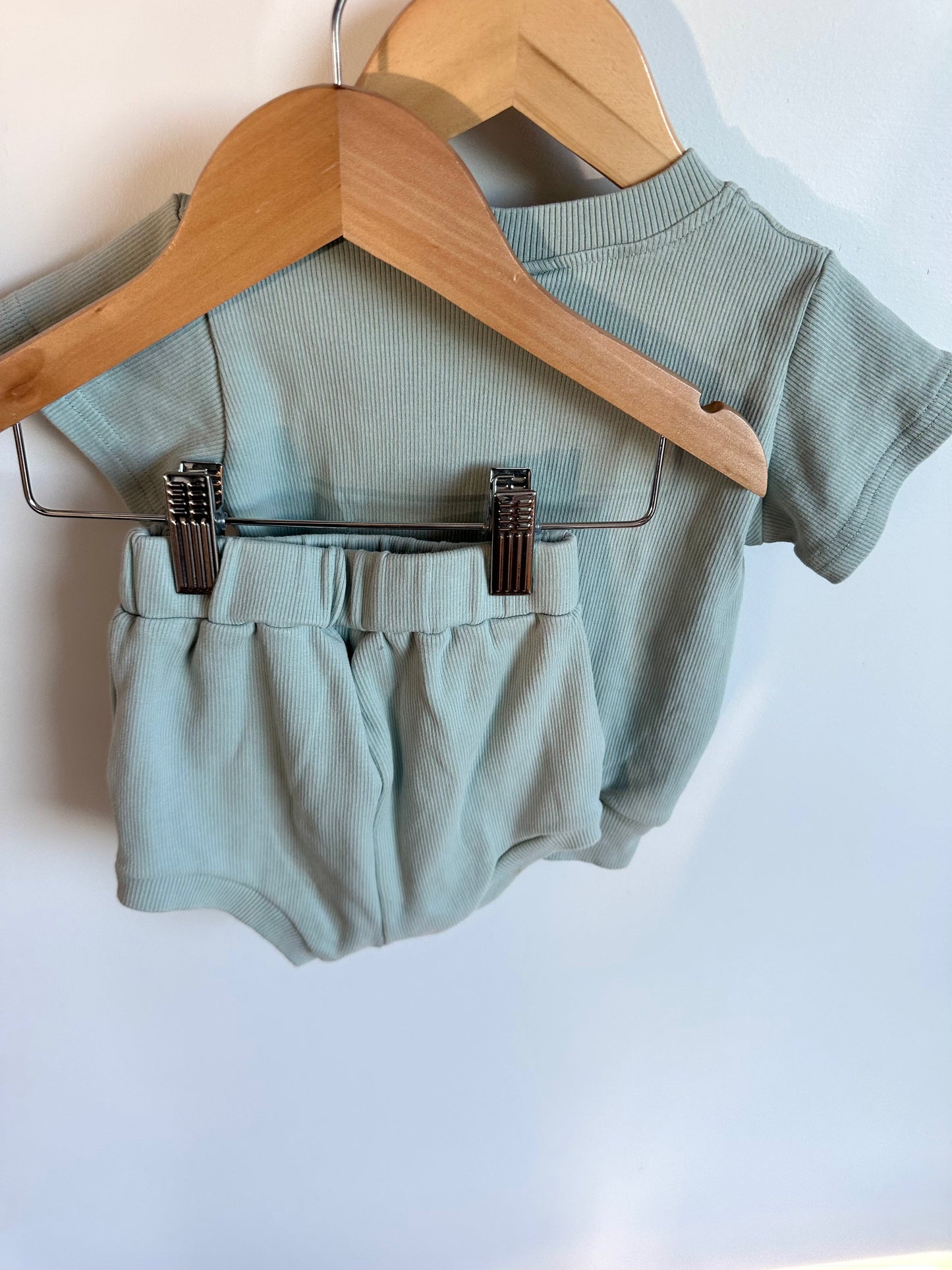 Tiny Trove Rib Sage T-shirt + Shorties Set / 12-18m