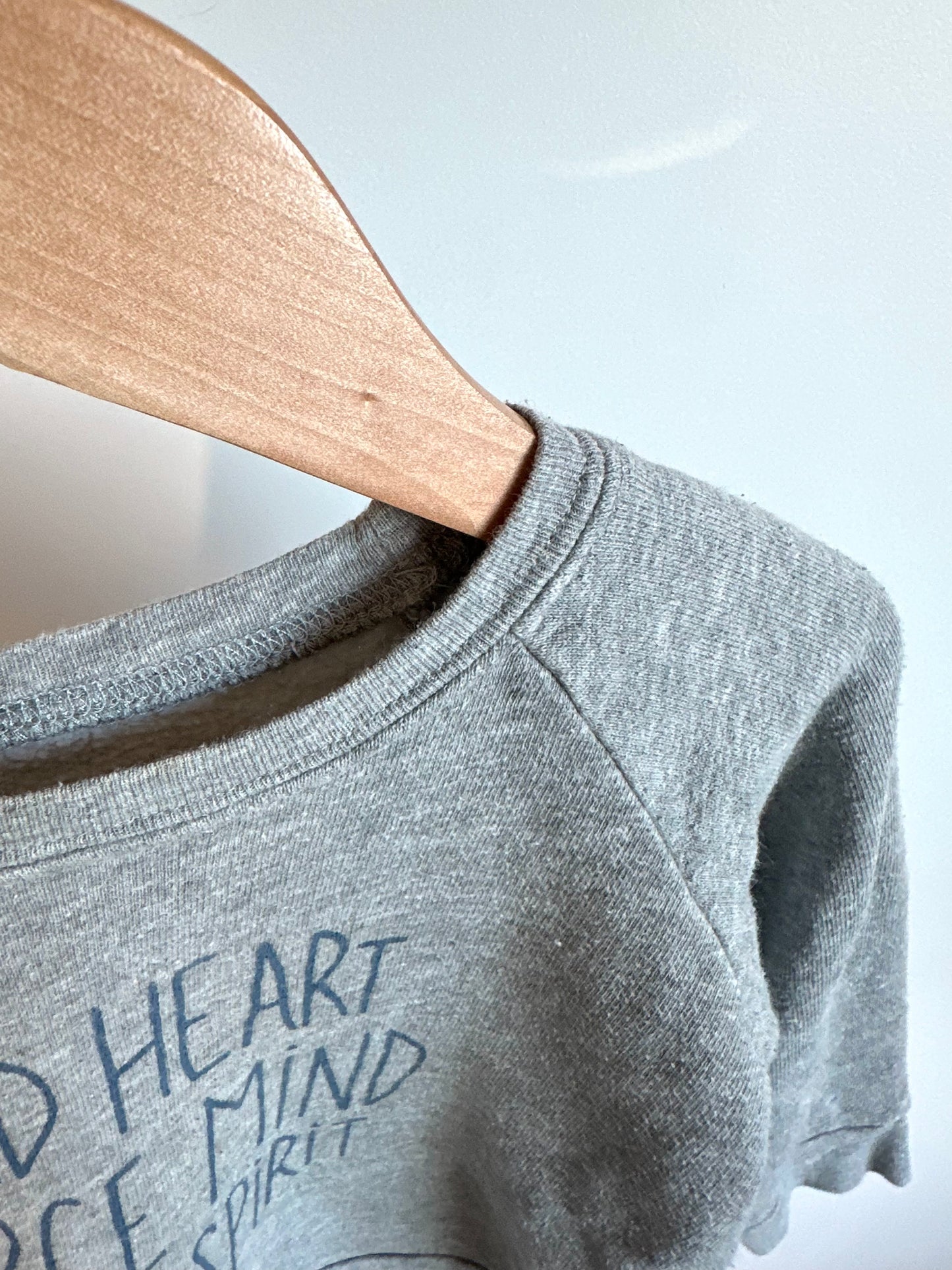 Mini Mioche Kind Heart Fierce Mind Grey Crew / 24m