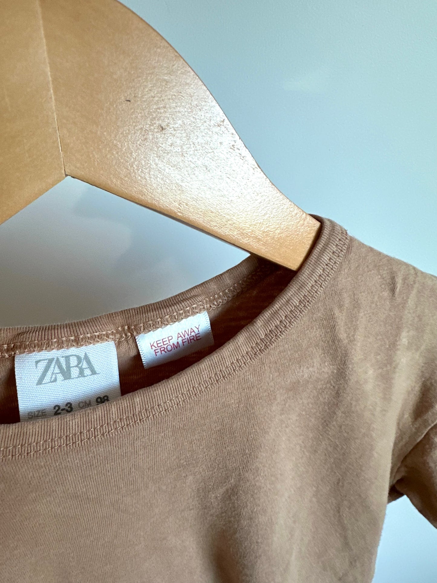 Zara Terracotta T-shirt / 2-3T