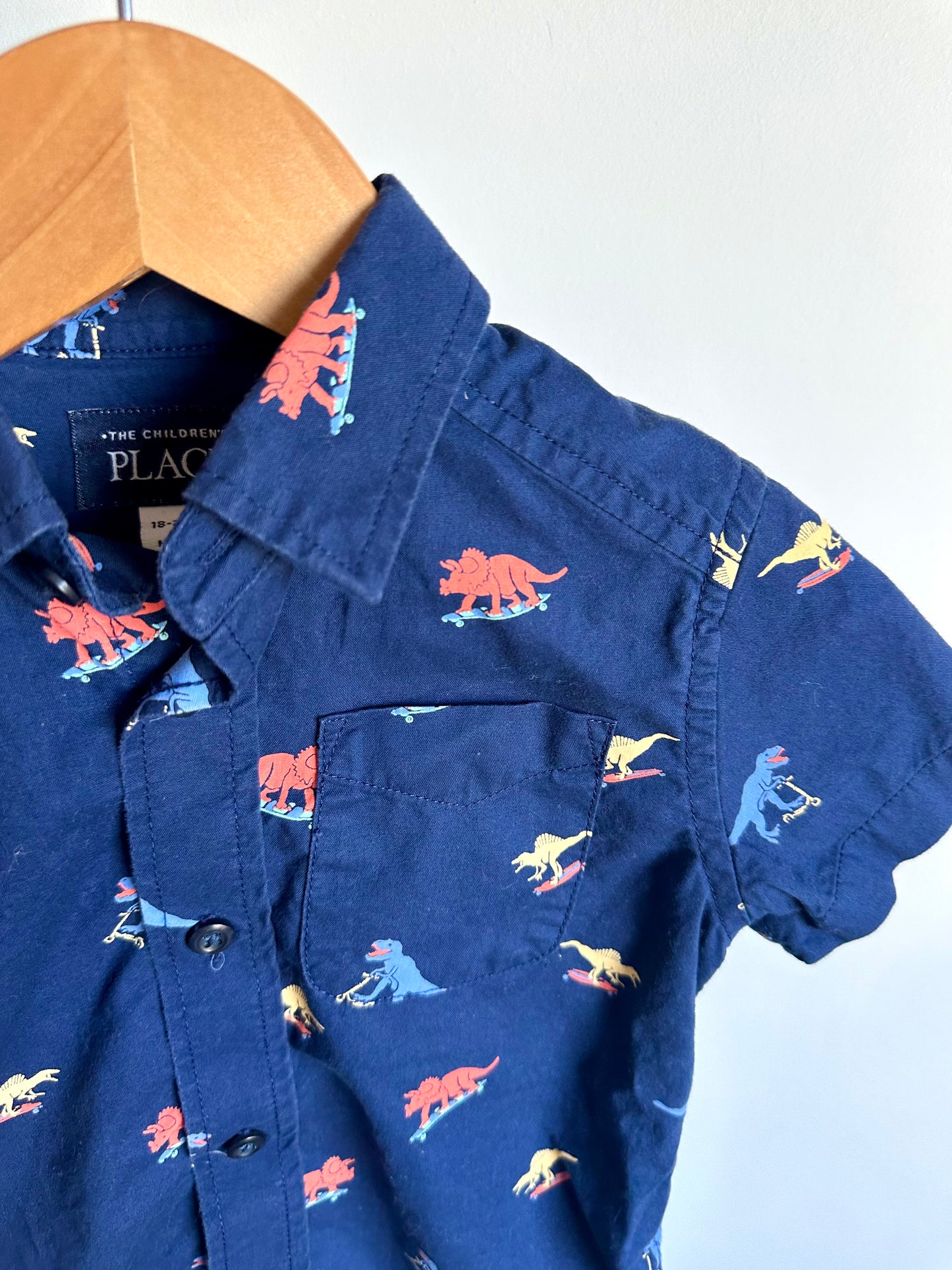 Dino Boarding Collared Button Up T-Shirt / 18-24m