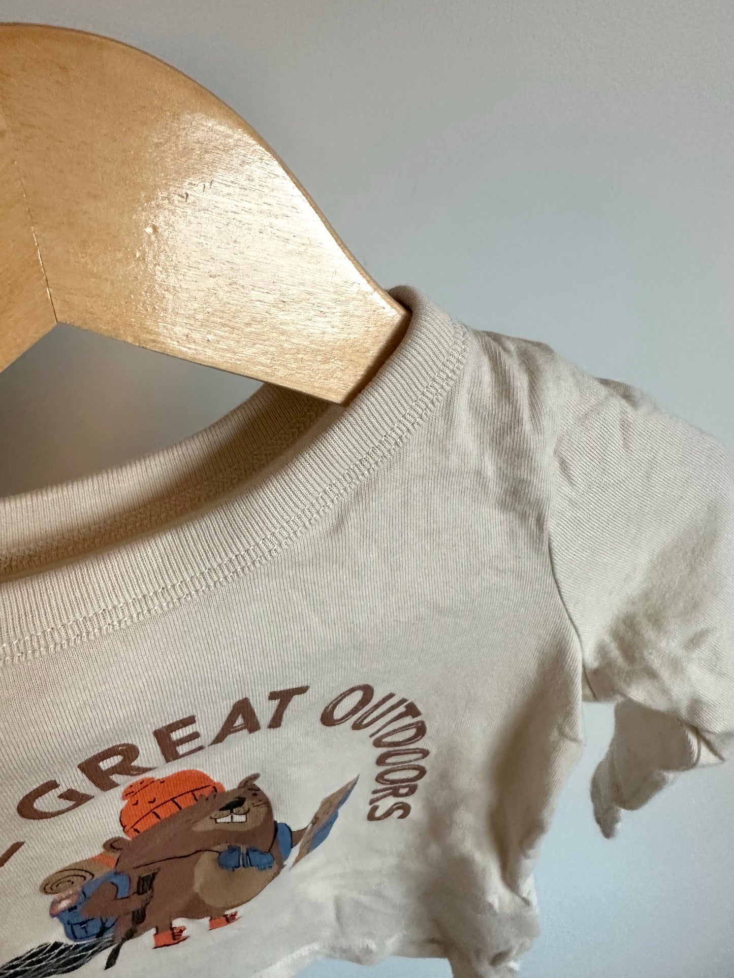 Great Outdoors Tan Long Sleeve / 12-18m