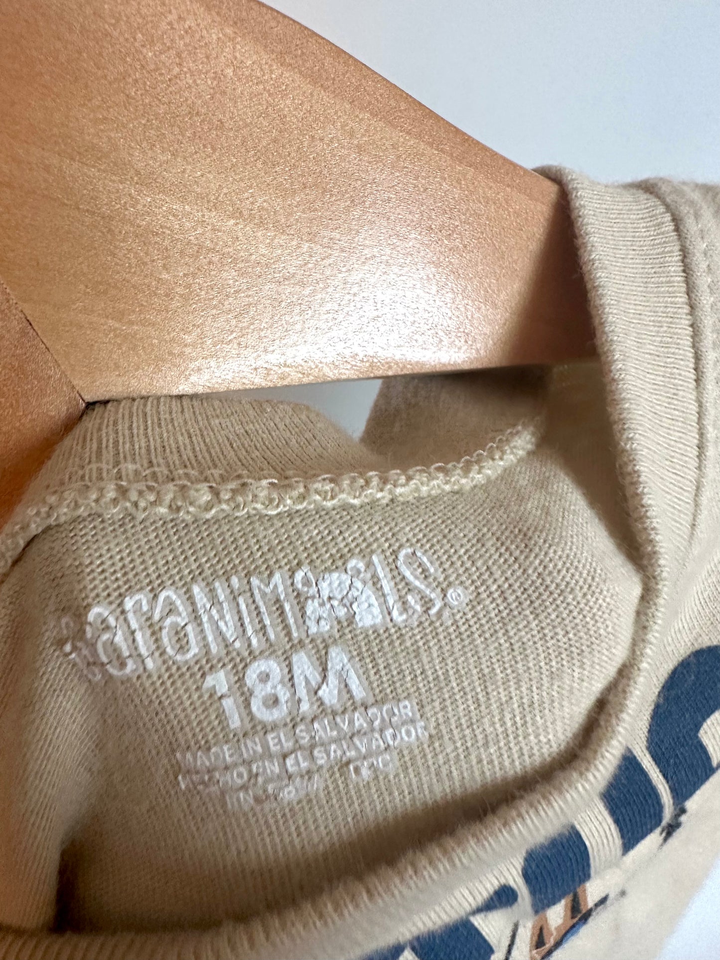 Nature Tan Long Sleeve / 18m