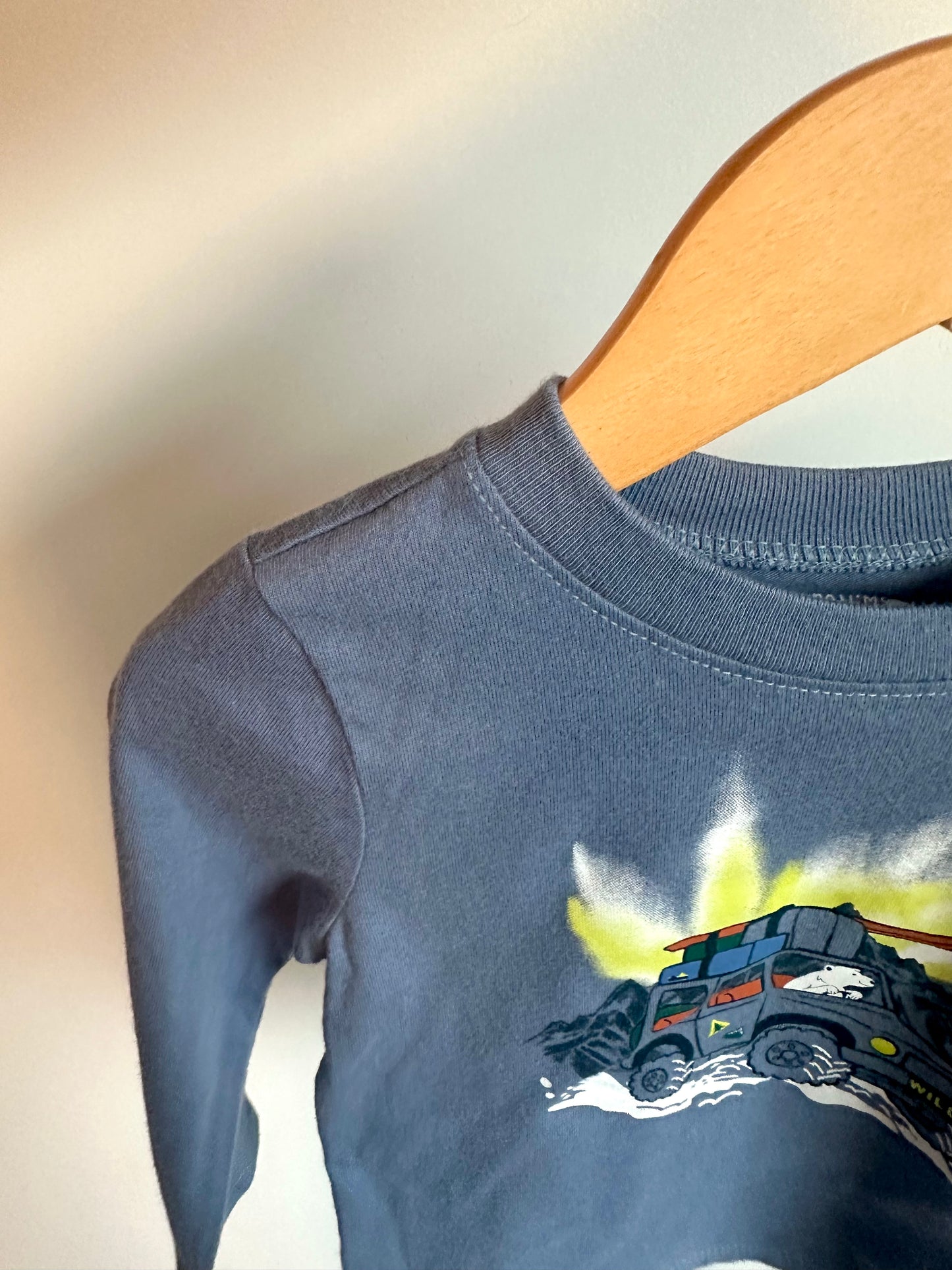 Blue Polar Bear Long Sleeve / 18m