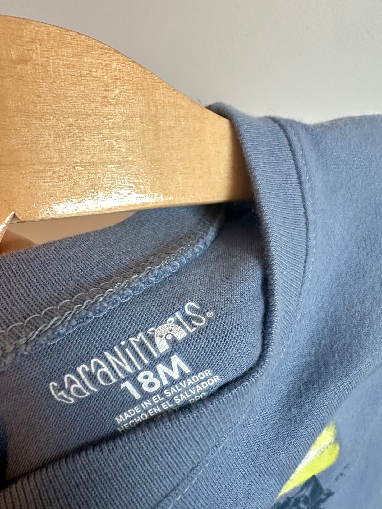 Blue Polar Bear Long Sleeve / 18m