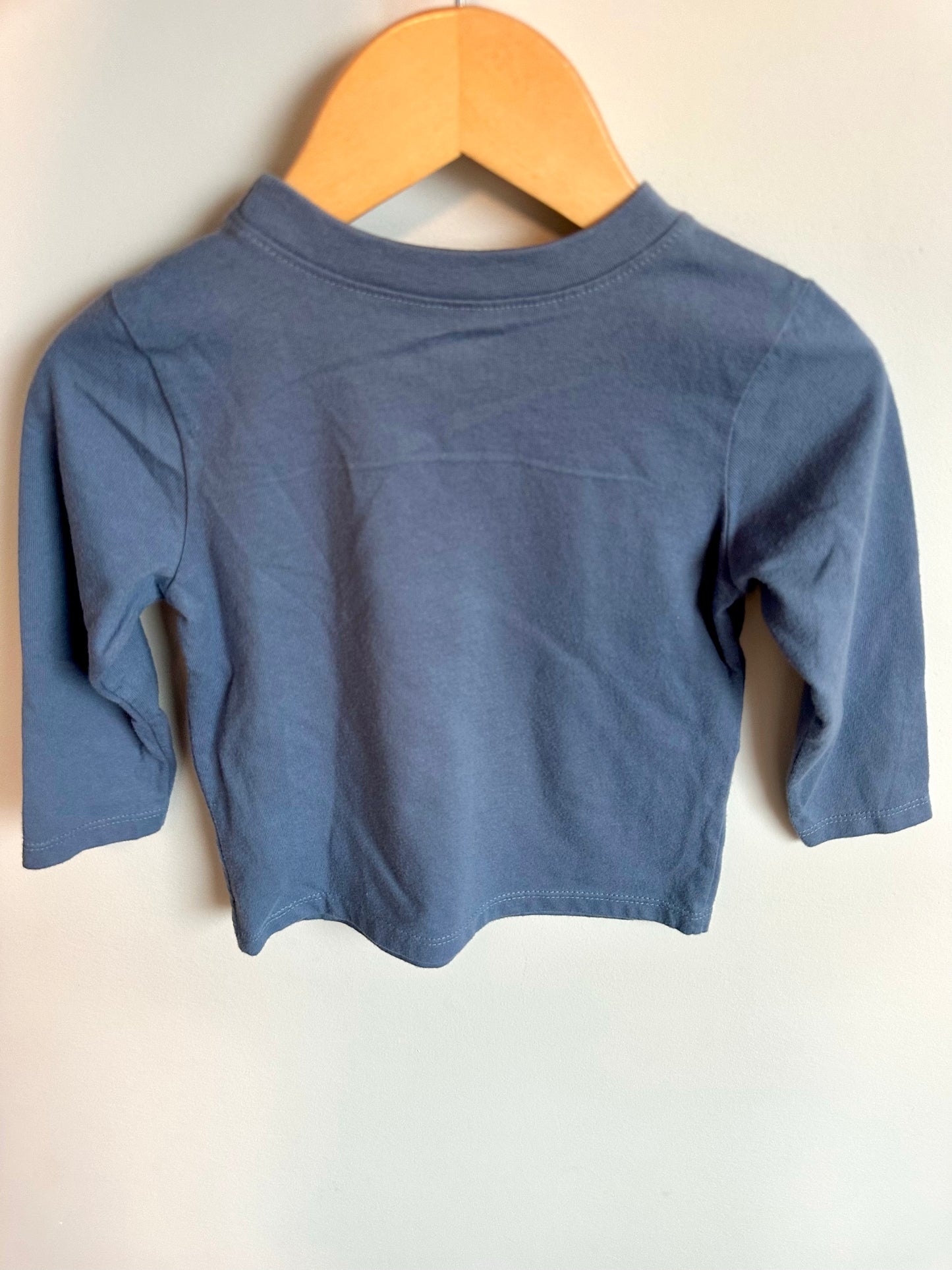 Blue Polar Bear Long Sleeve / 18m