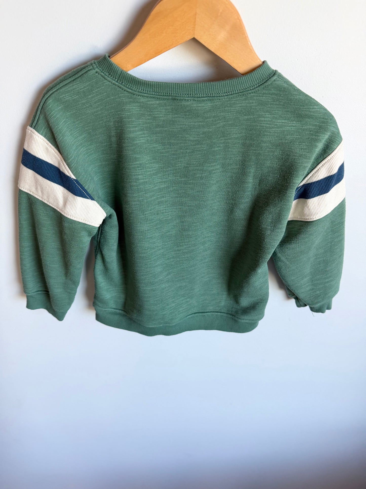 Sage Let's Go Crewneck / 2T