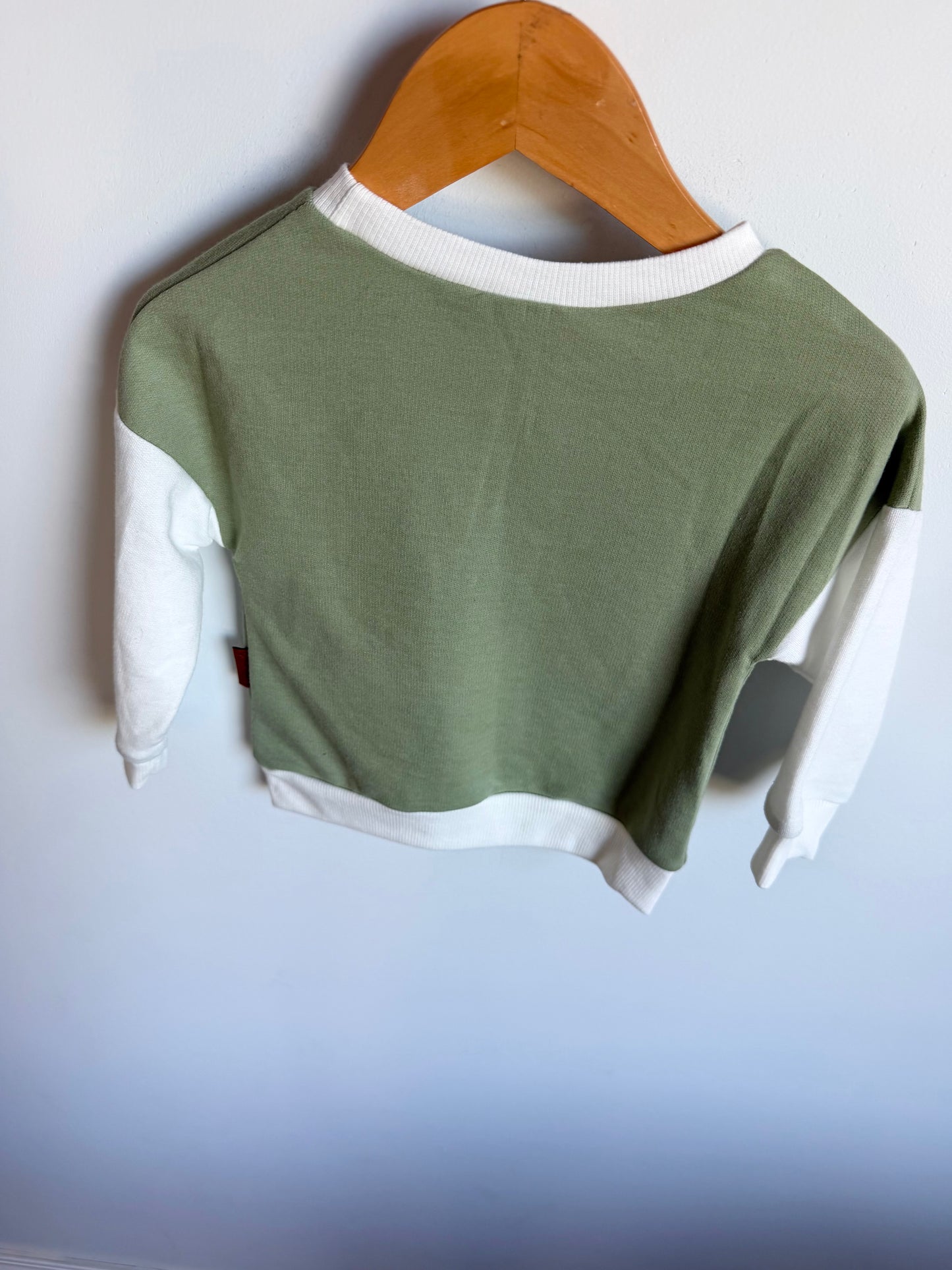 Sage Smiley Long Sleeve / 18-24m