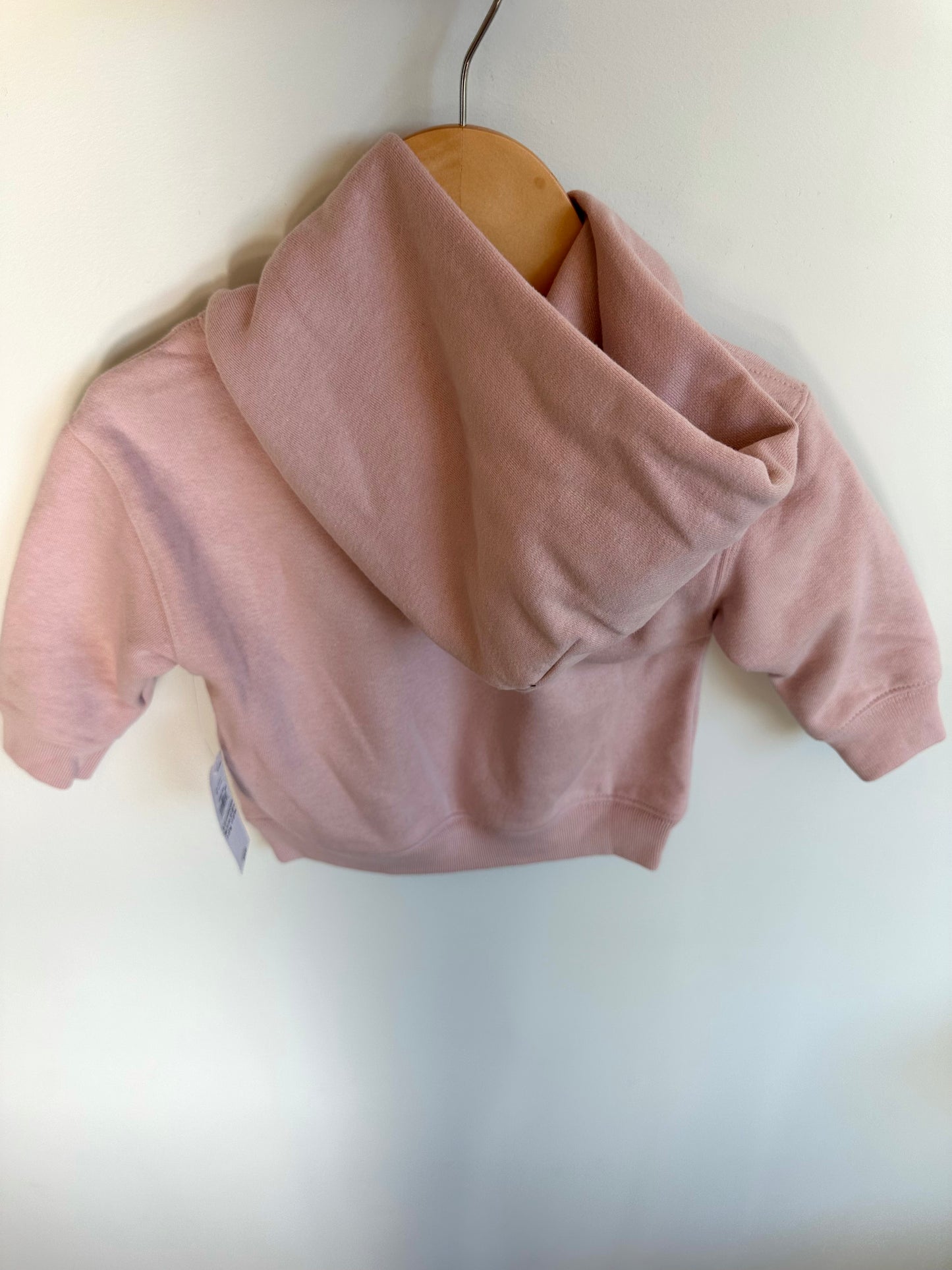 Gap Pink Hoodie (With Tags) / 6-12m