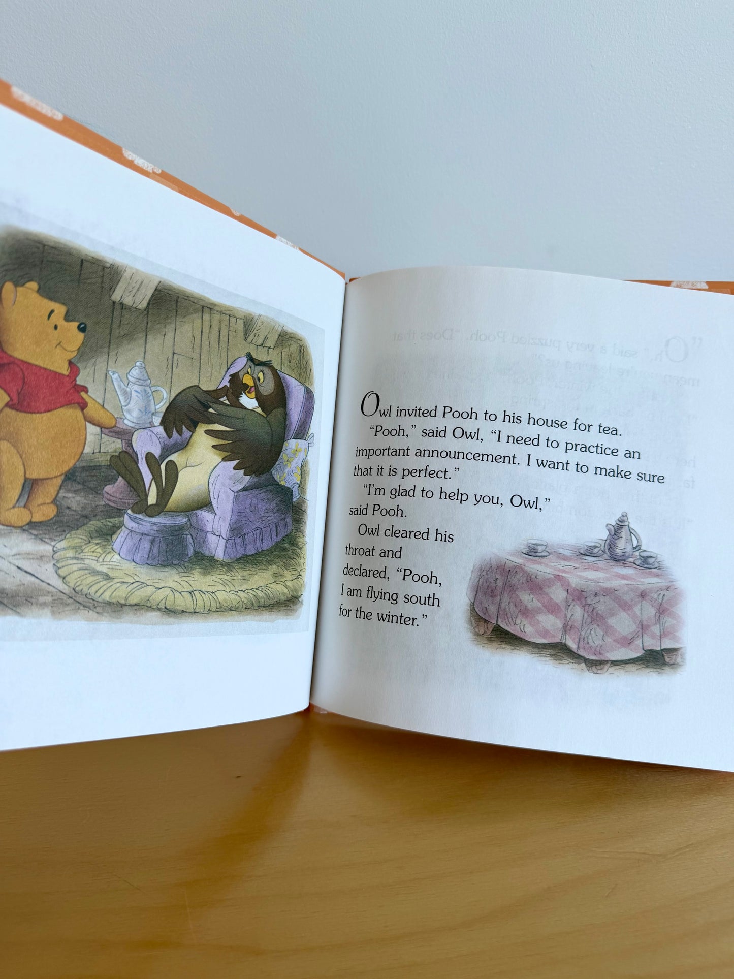 Owl's Trip South Book / 3-5 years