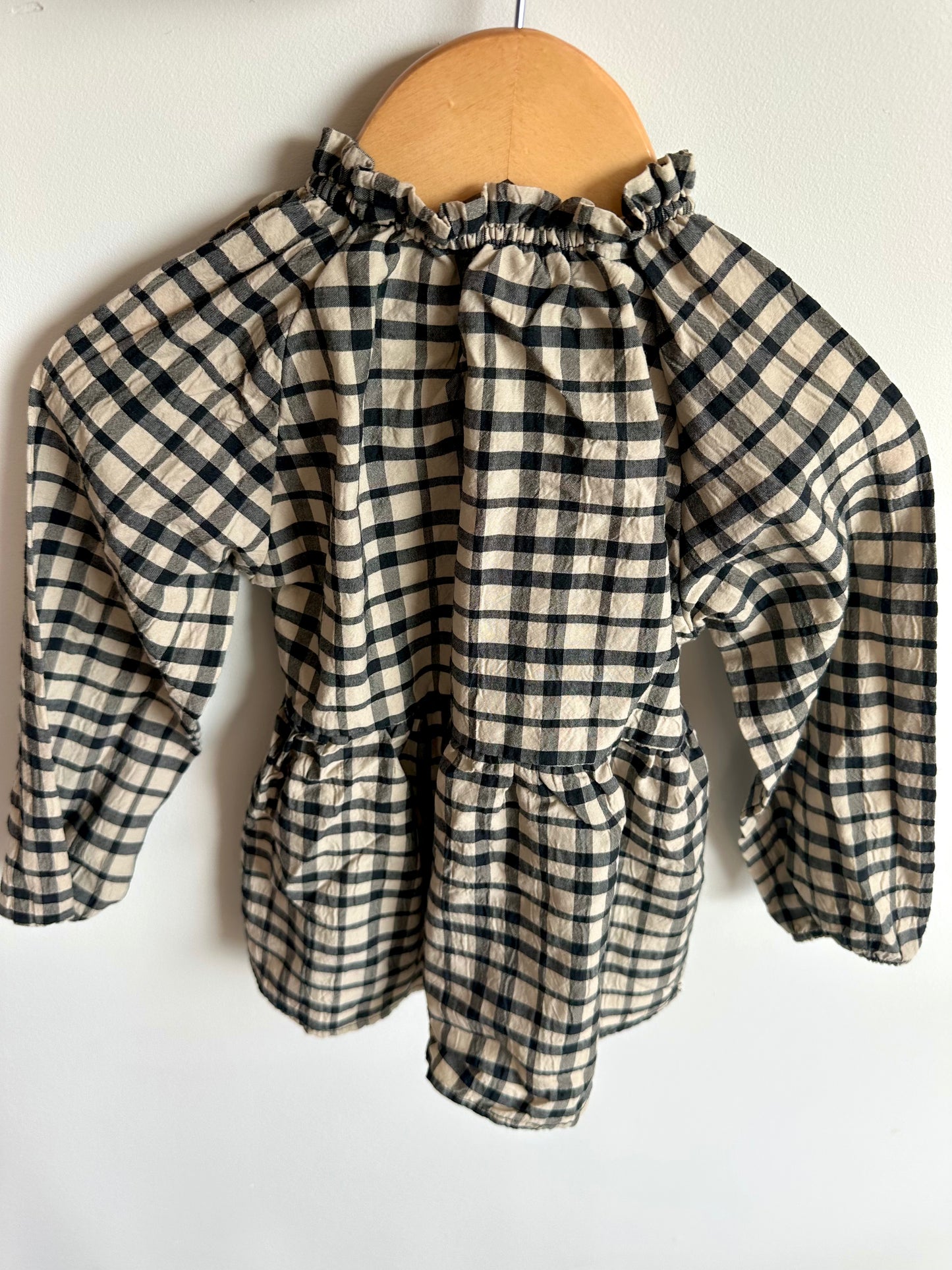 Zara Gingham Long Sleeve Tunic / 3-4T