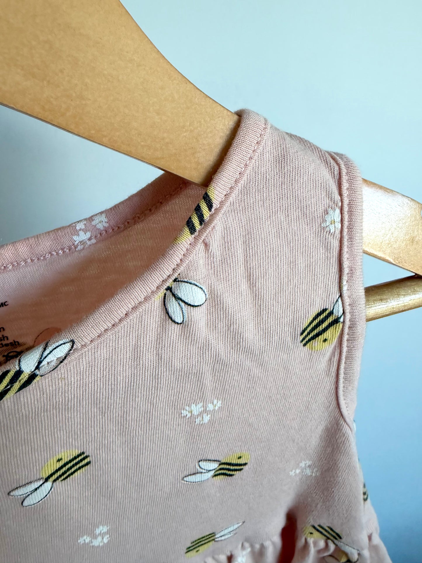 Bee Blush Dress / 24m