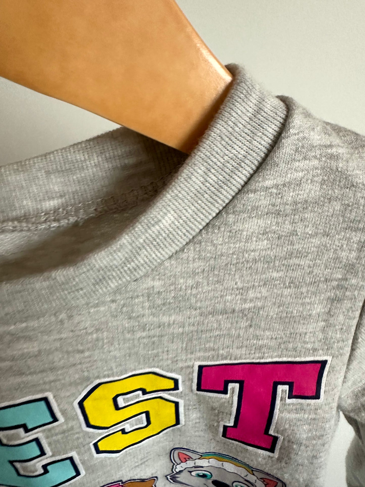 Best Pups Paw Patrol Crewneck / 3T