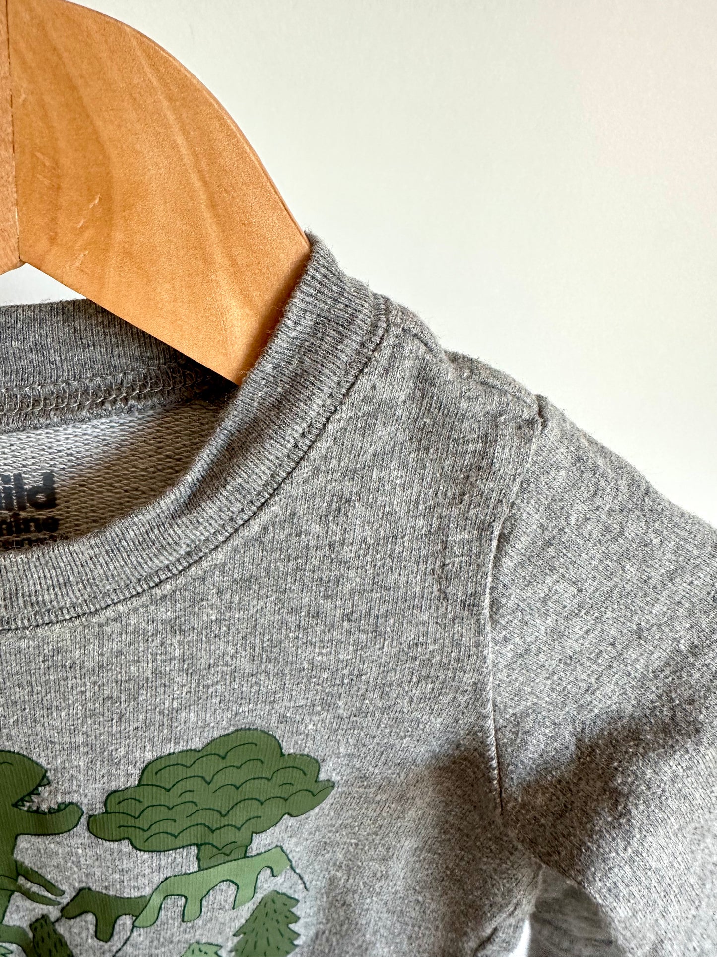 Dino Crewneck / 18m