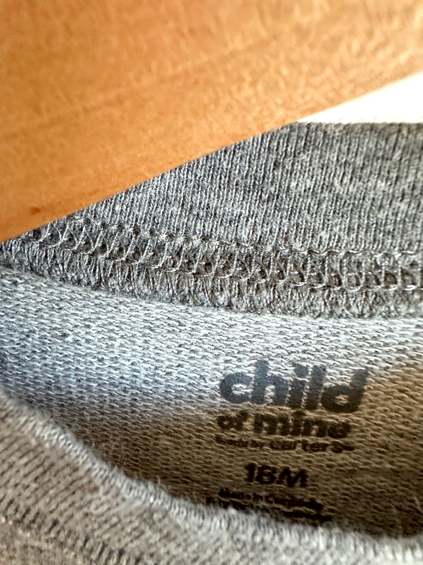 Dino Crewneck / 18m