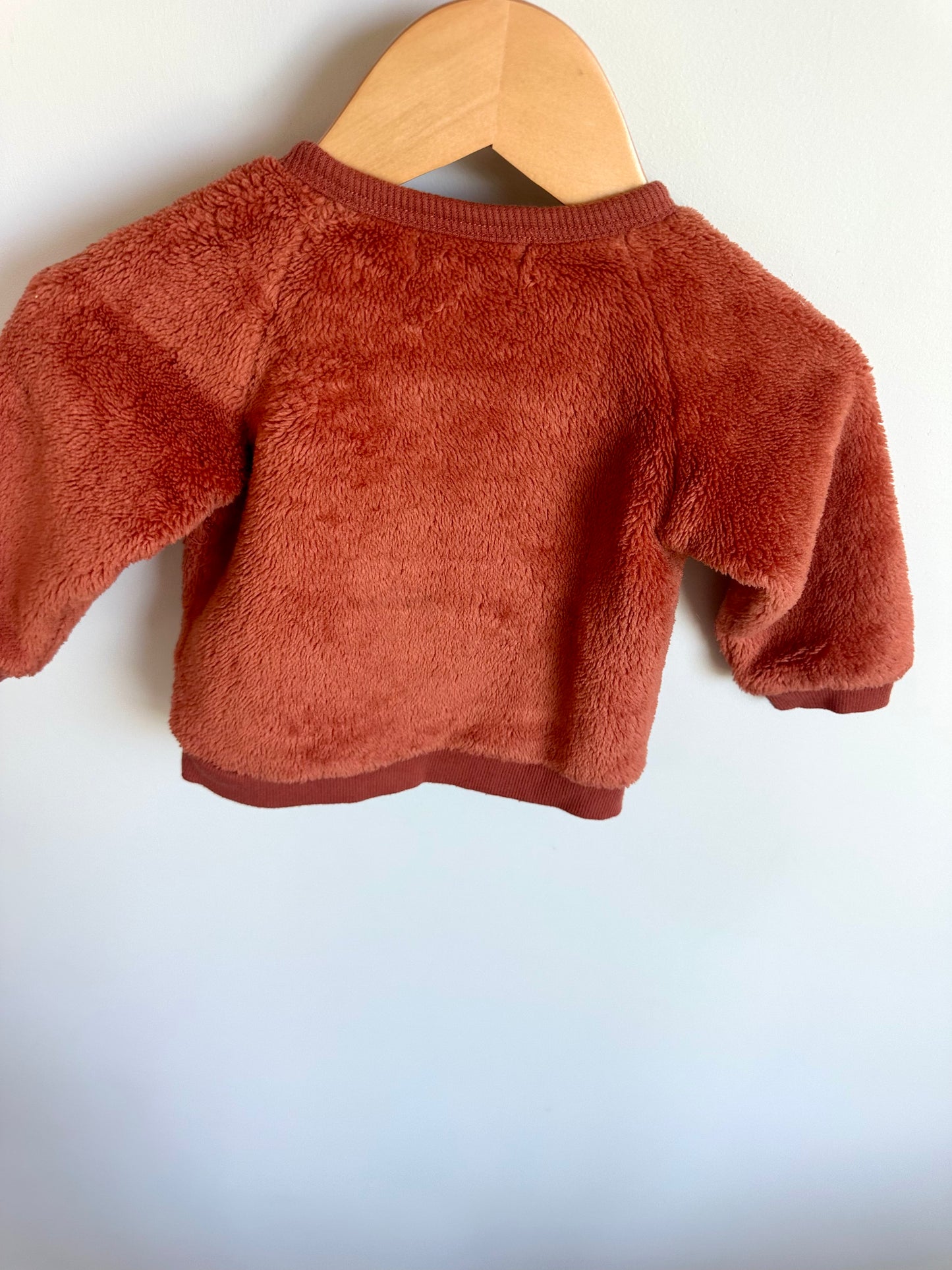 Pekkle Fuzzy Dino Sweater / 9m