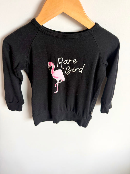 Little & Lively Flamingo Long Sleeve / 1-2T