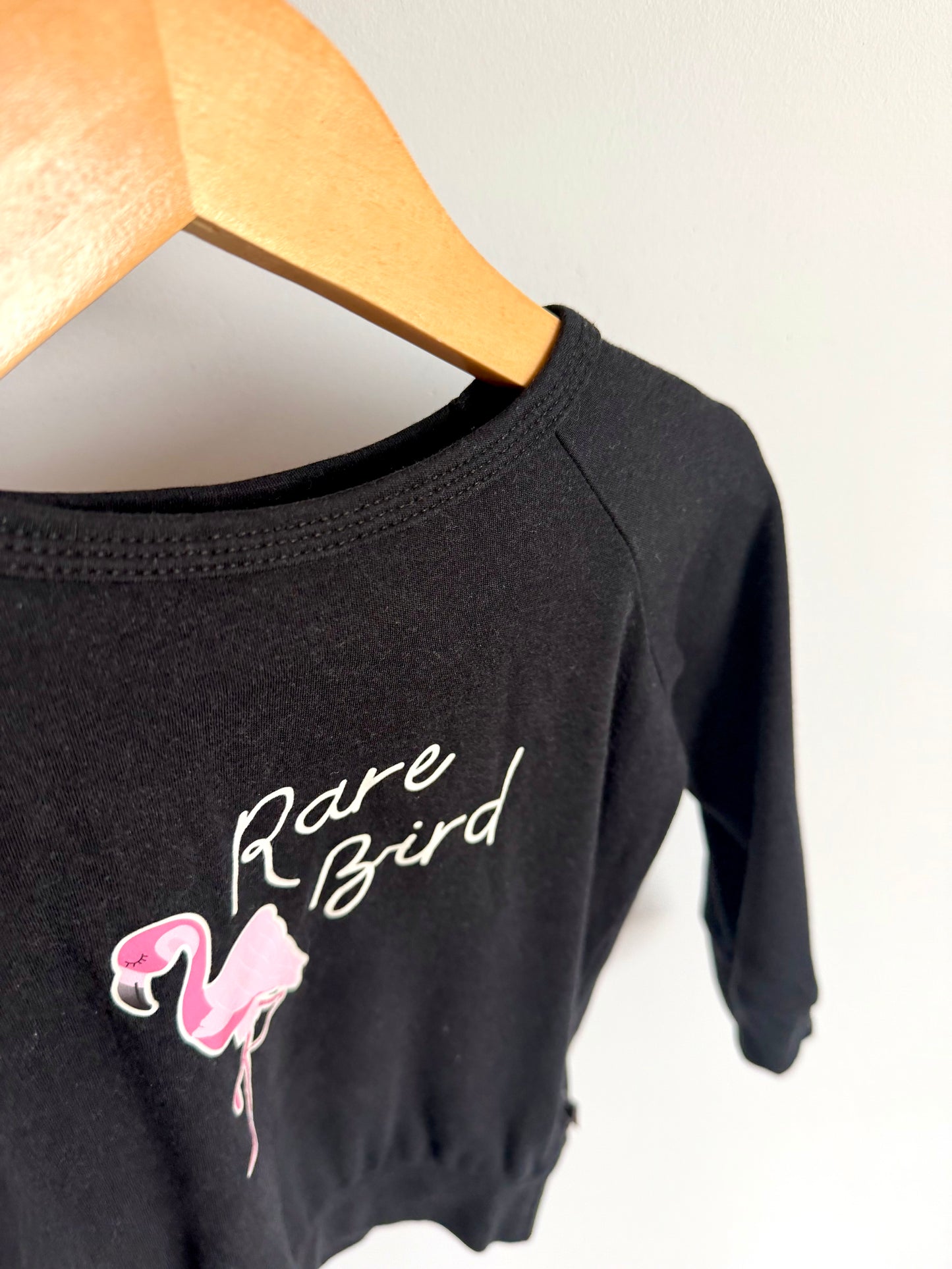 Little & Lively Flamingo Long Sleeve / 1-2T