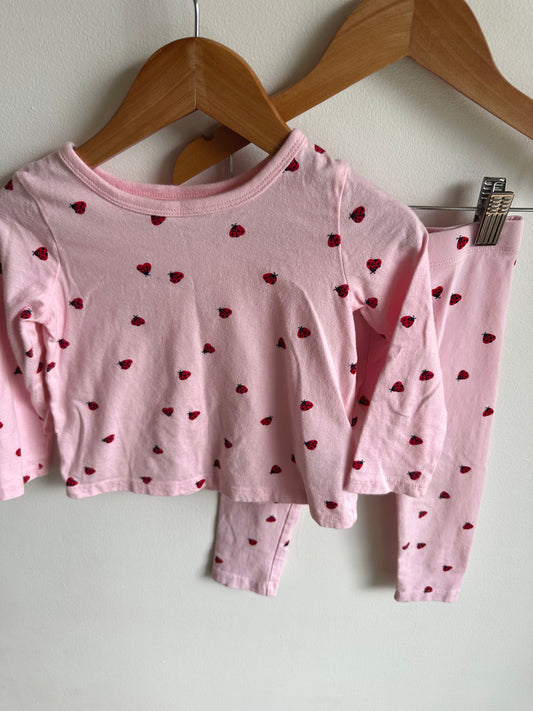 Ladybug Long Sleeve + Pants Set / 2T
