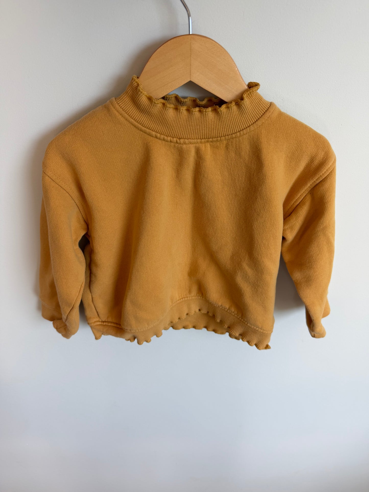 Zara Honey Crewneck / 3-4T